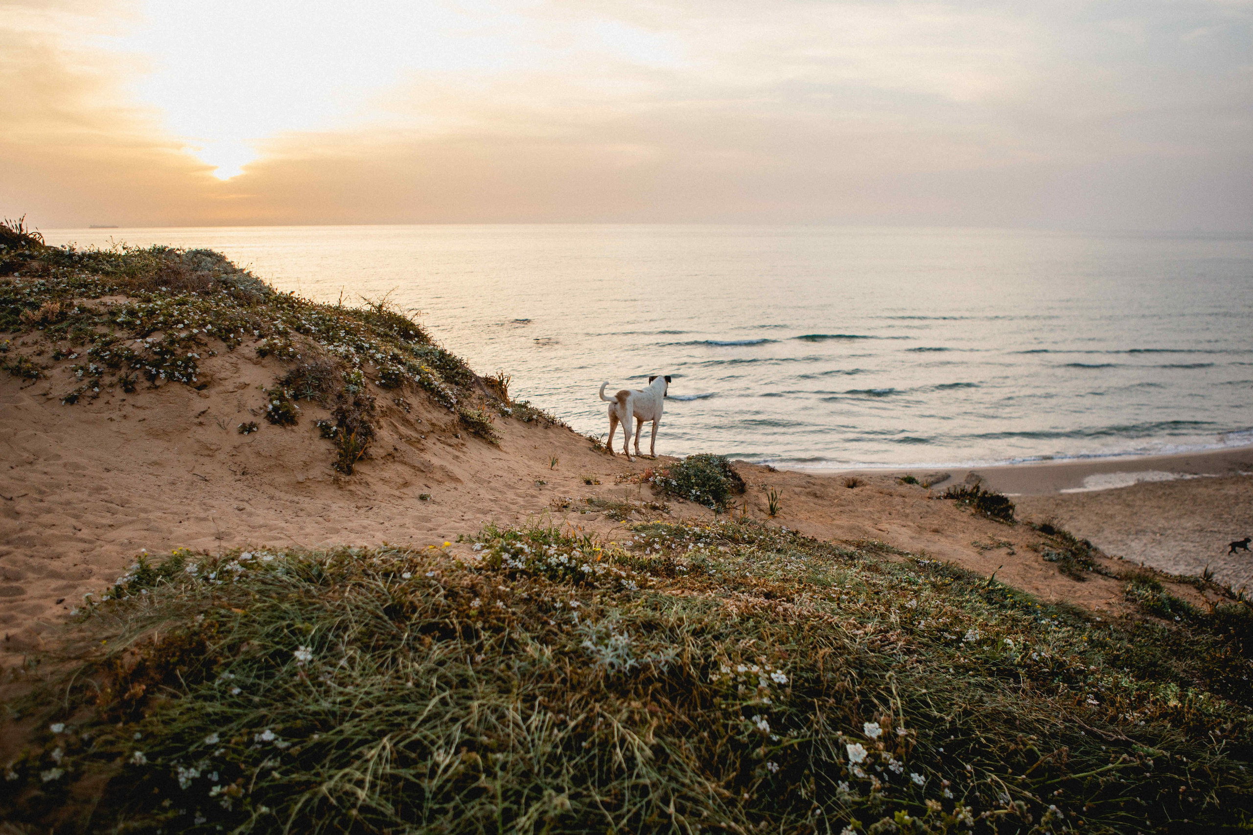 GIVAT OLGA. Https://shi-photo.com/