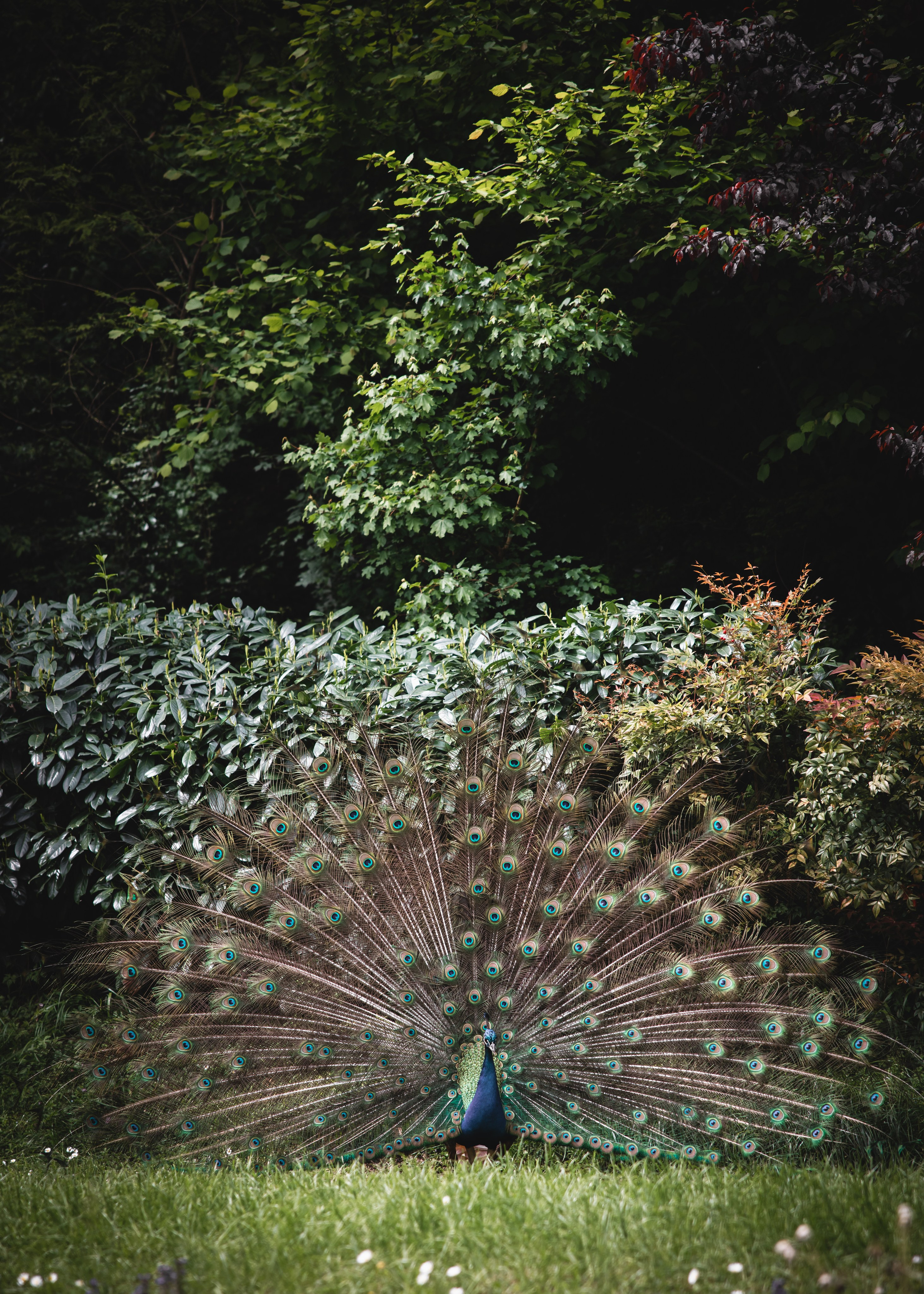 Tuscany Wedding Villa La Commenda Concordia. Professional wedding photographer in Copenhagen, Denmark — Julia Byron