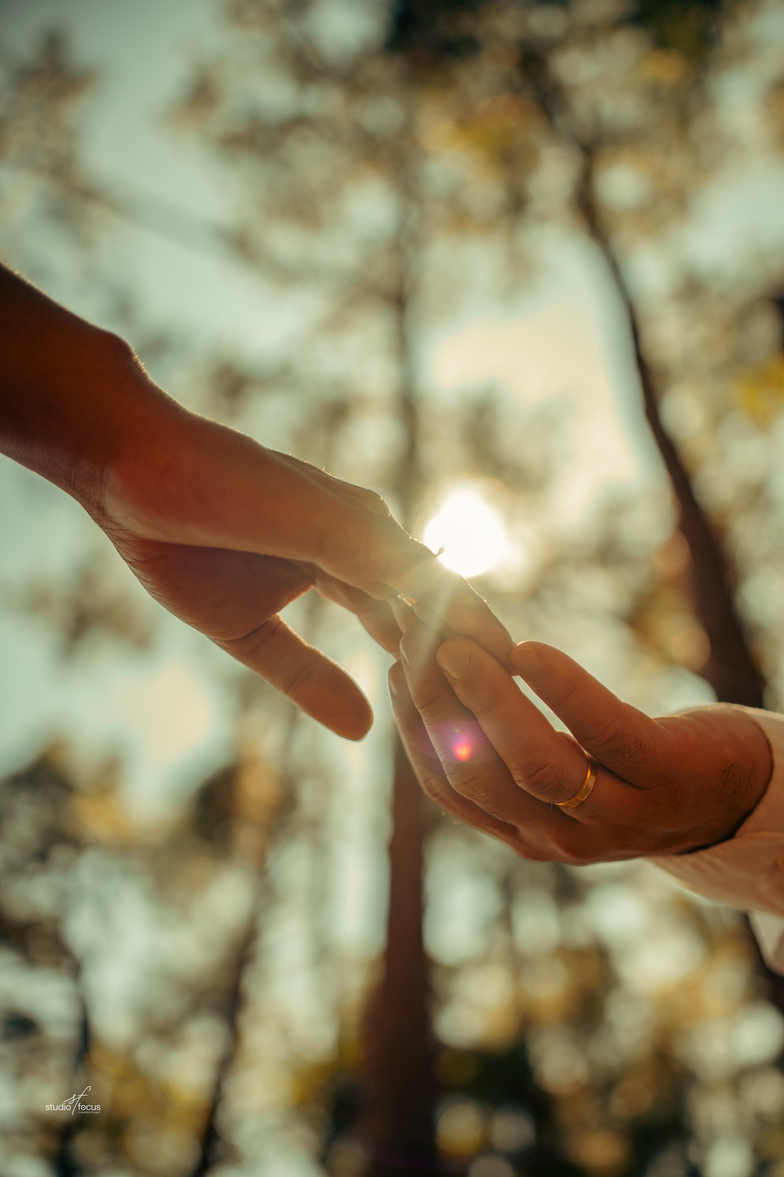 Pré-Wedding com pets