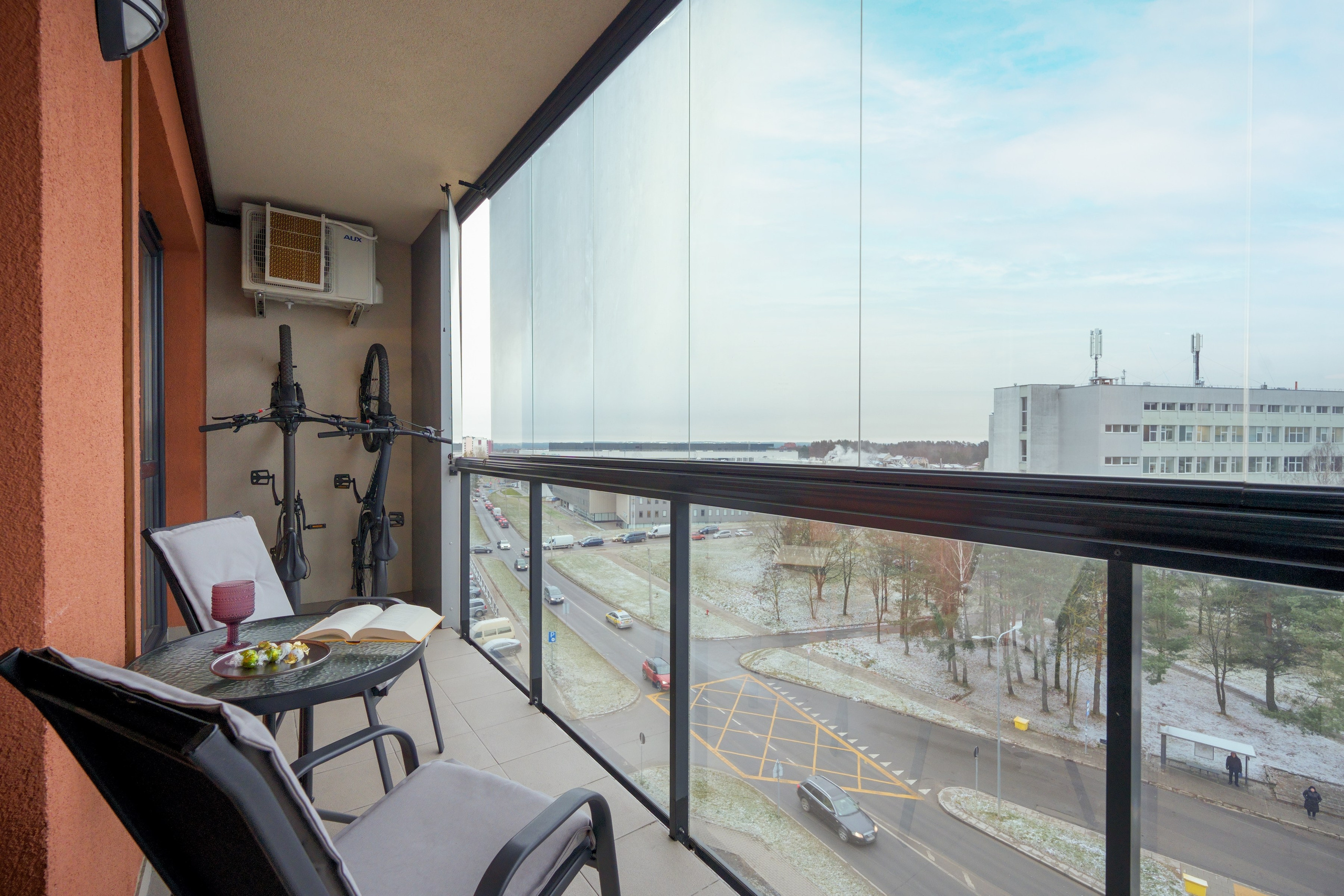 Bajorų kelias 1. Elina Sapiega fotografė Vilniuje