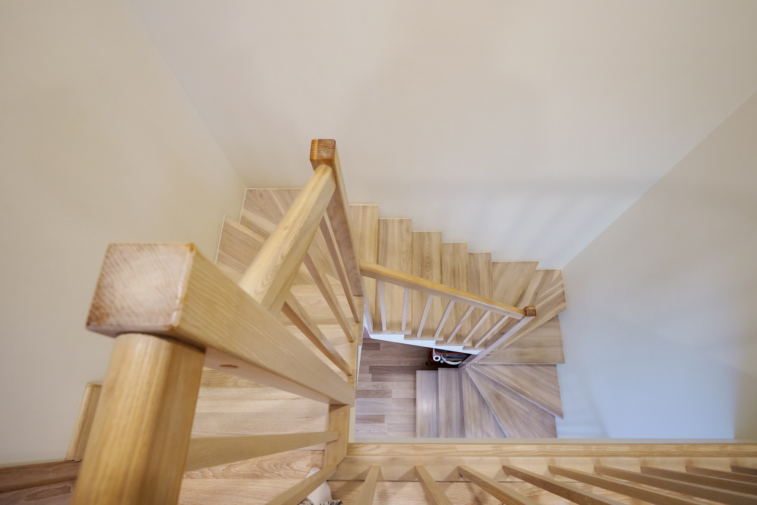 Tarandė. Elina Sapiega fotografė Vilniuje