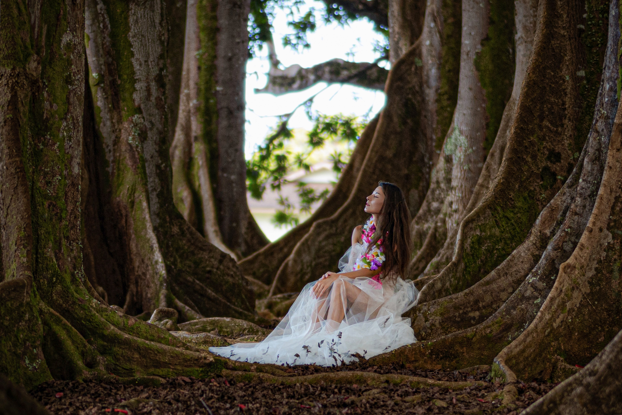 Kauai Beach Photography LLP. Awards winning photographer in Kauai, Hawaii