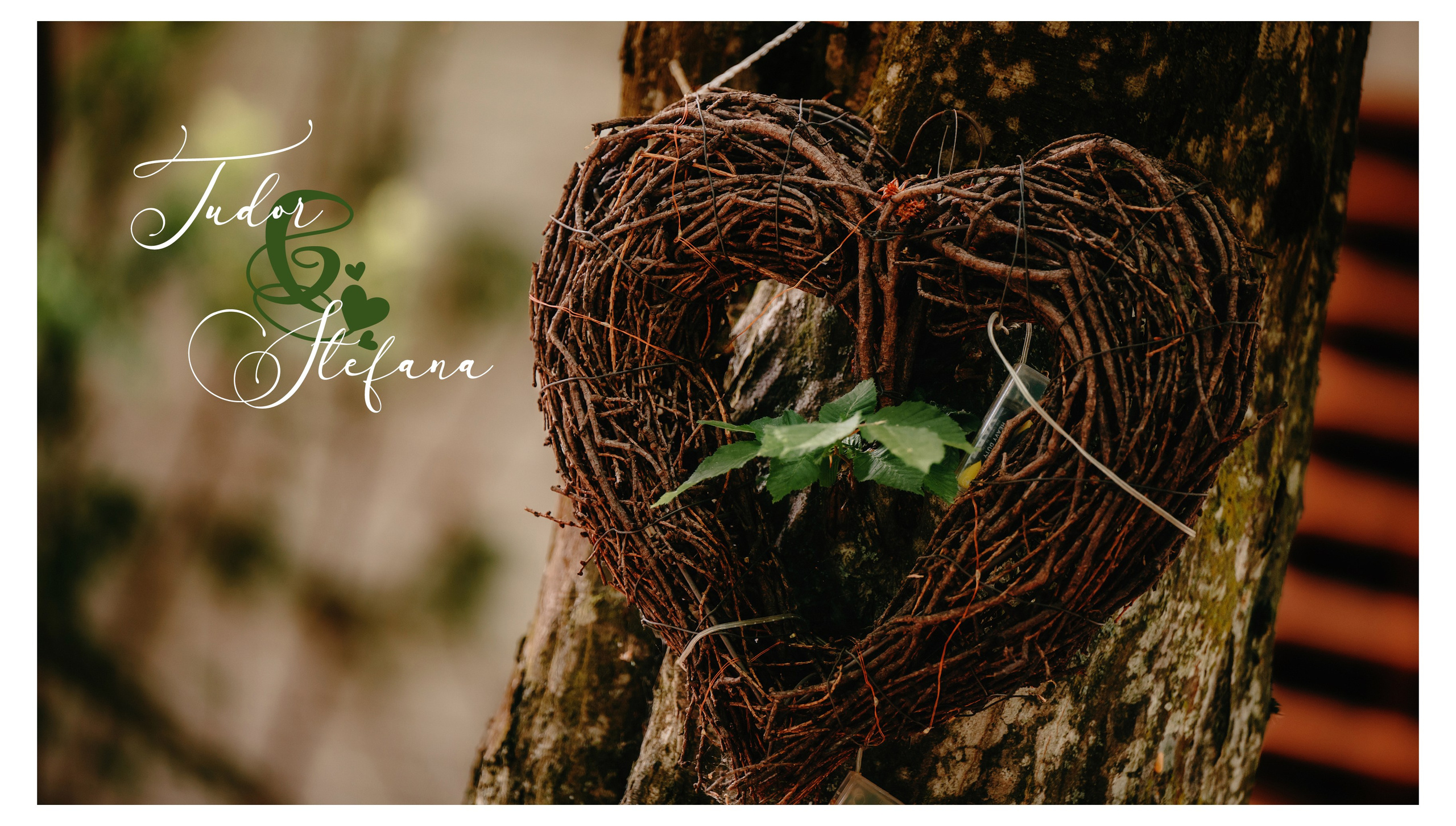 NUNTA Tudor si Stefana. Laurentiu Stefan StoryTeller