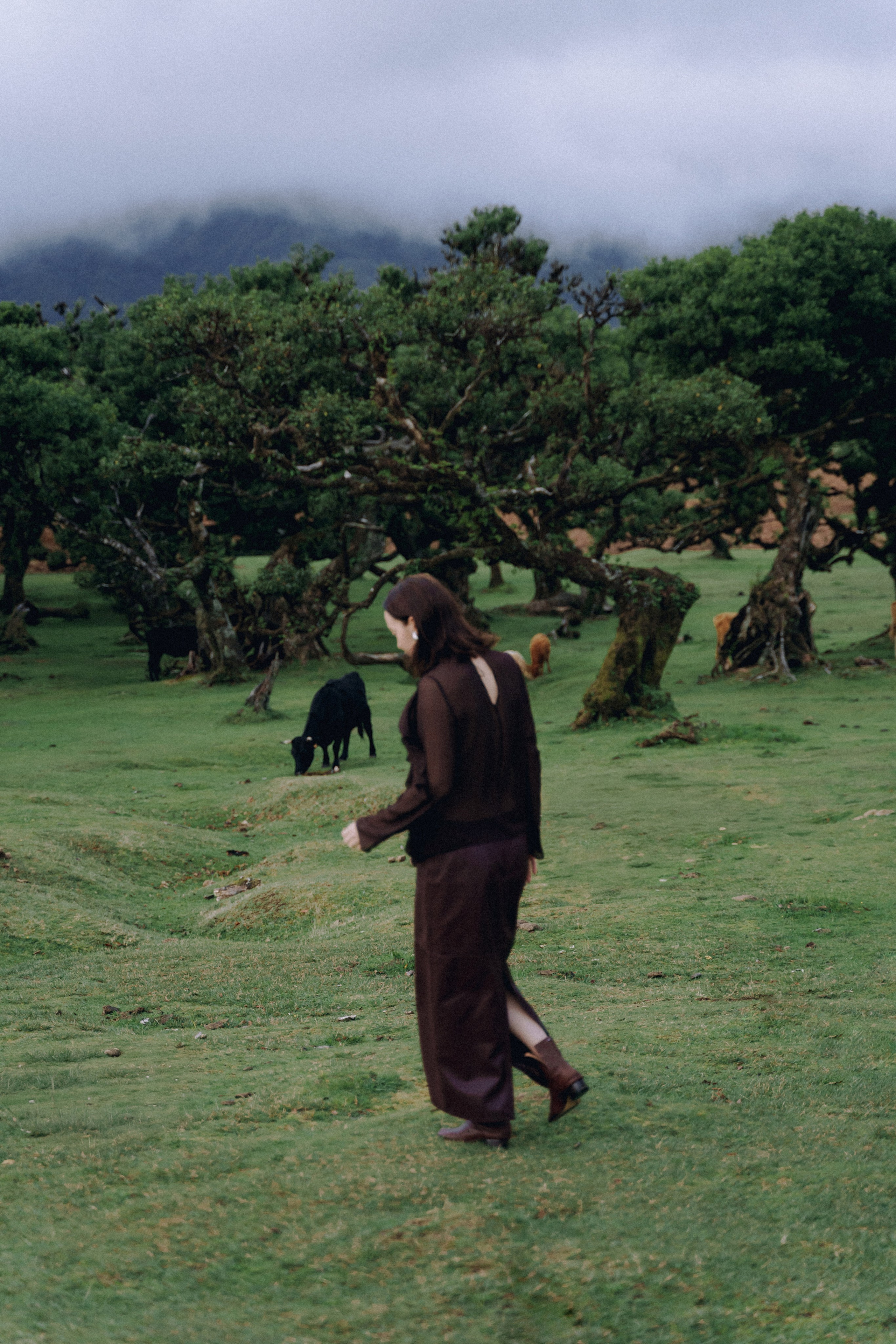 Individual Photoshoot in Fanal Forest — Oksana | Madeira Photography. Your photographer in Madeira