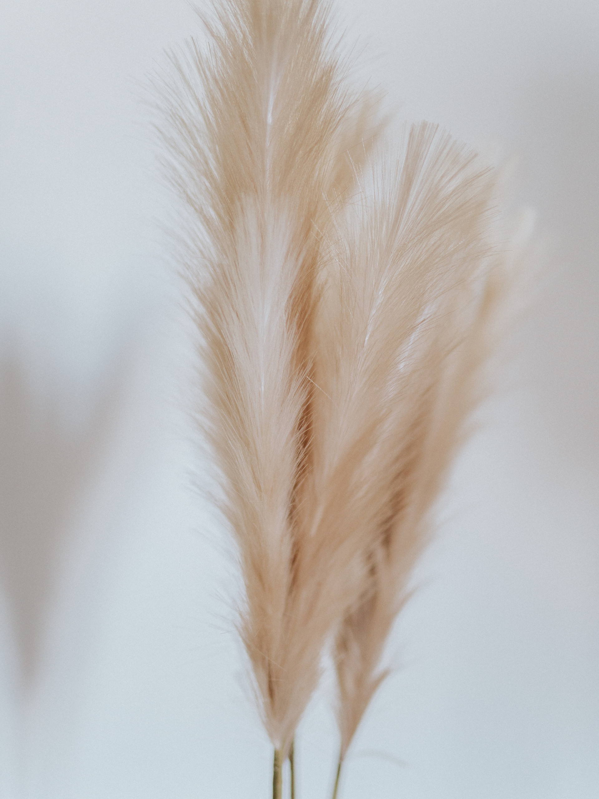 Fashion blogger brand photoshoot. Oxana Dia Business and Brand Photography and Videography in Barcelona