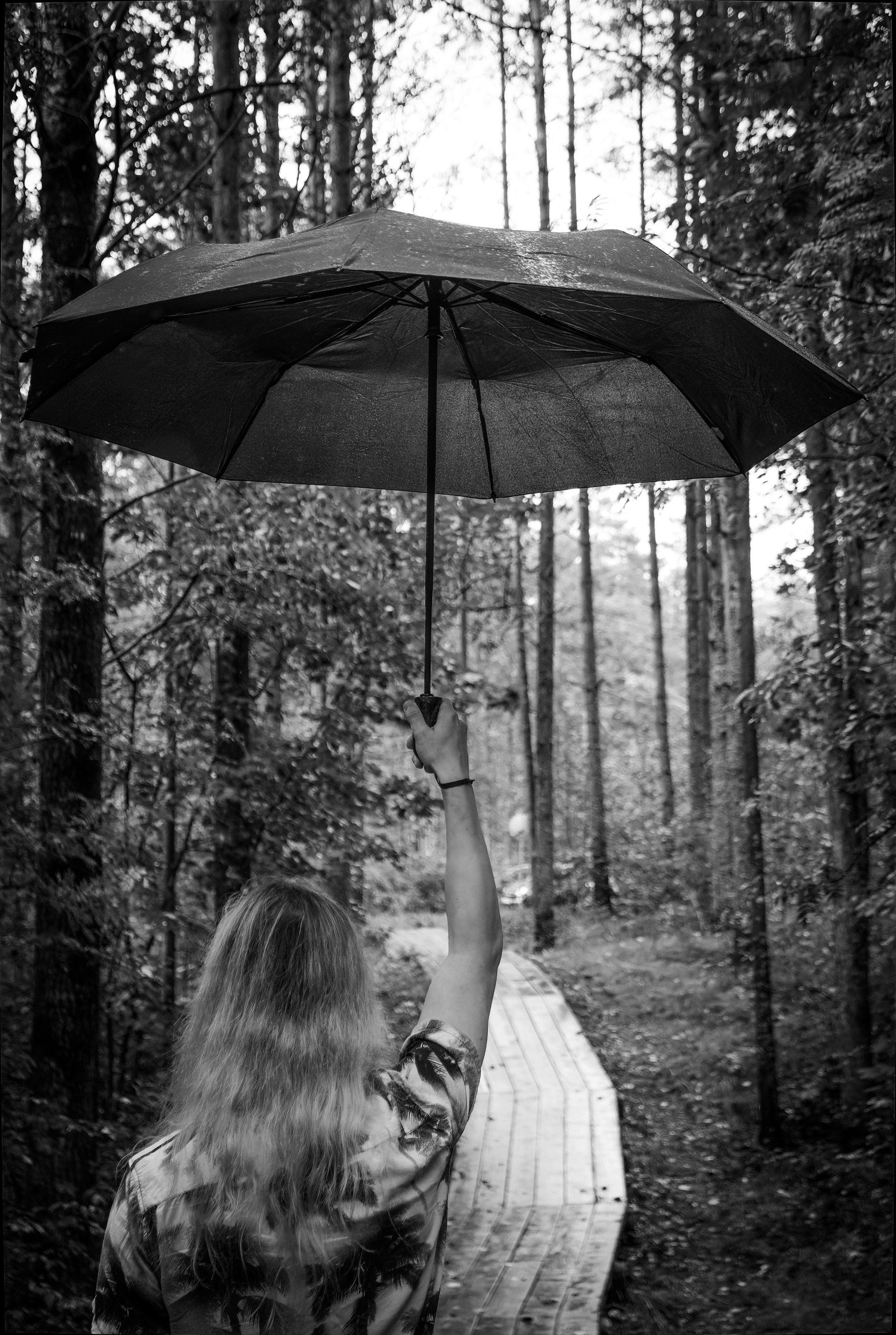 Mets, vihm ja jahedus (Dimitry). Nebula 25 — Fotod teie hingele