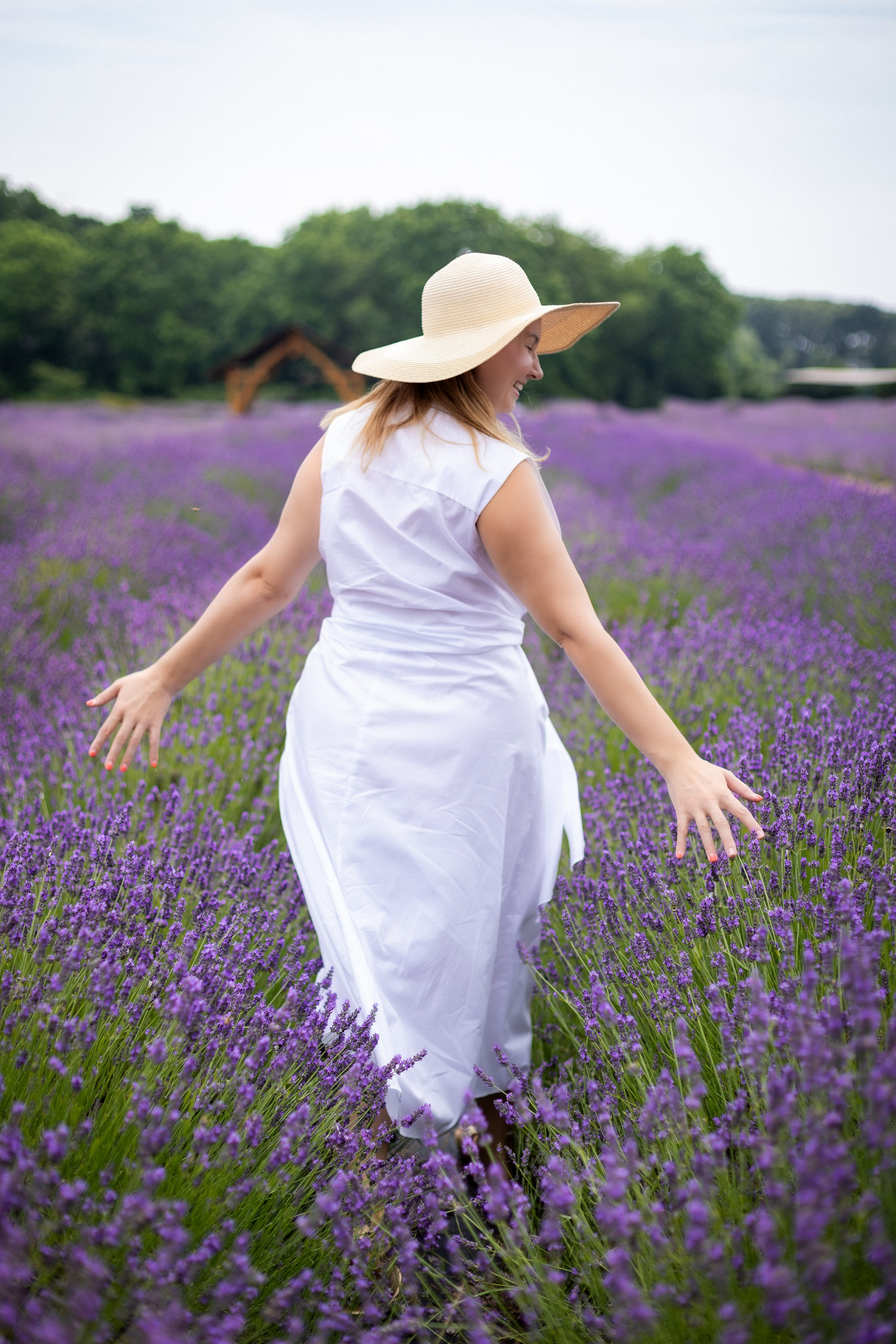 Лаванда. Фотограф в Нью Йорке