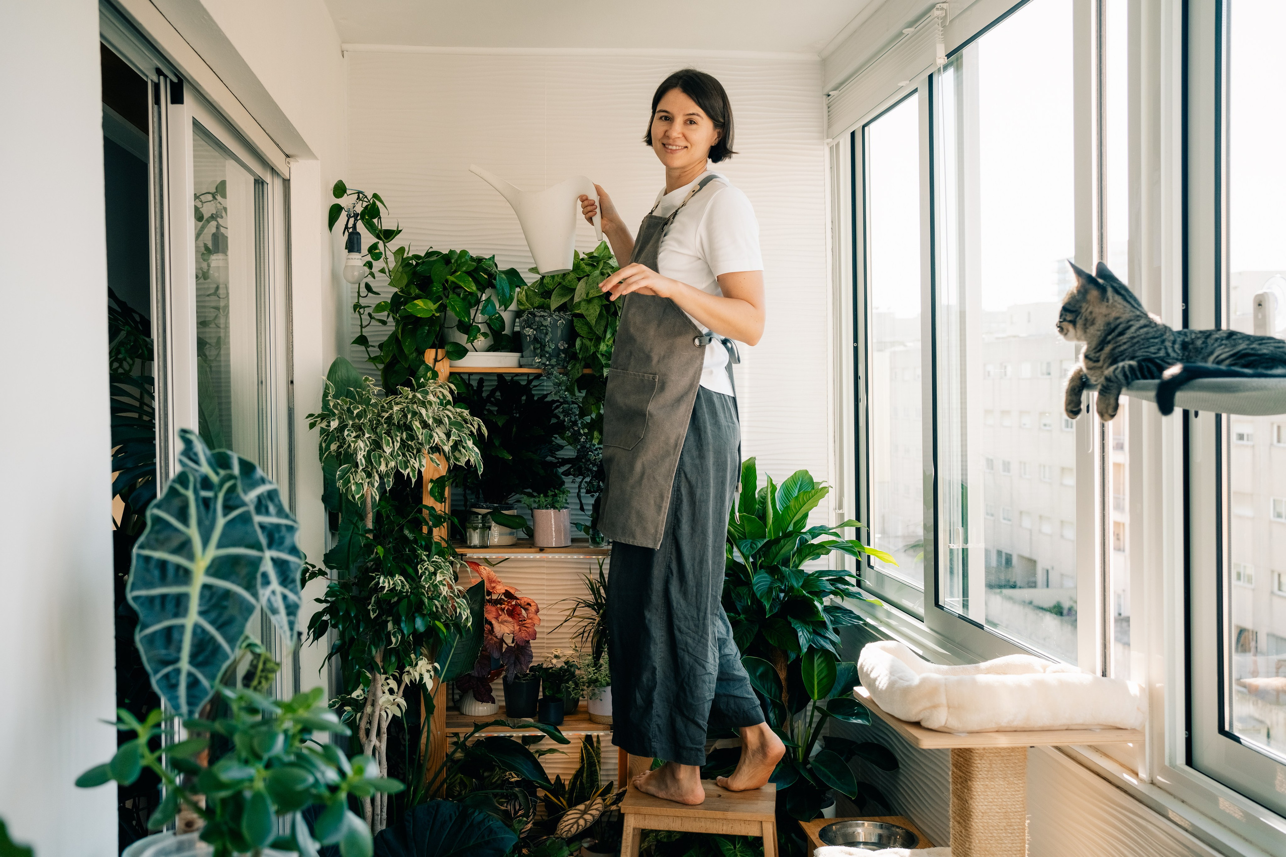No Drama Plants. Maria Sher. Fotógrafa profissional do Porto, Portugal