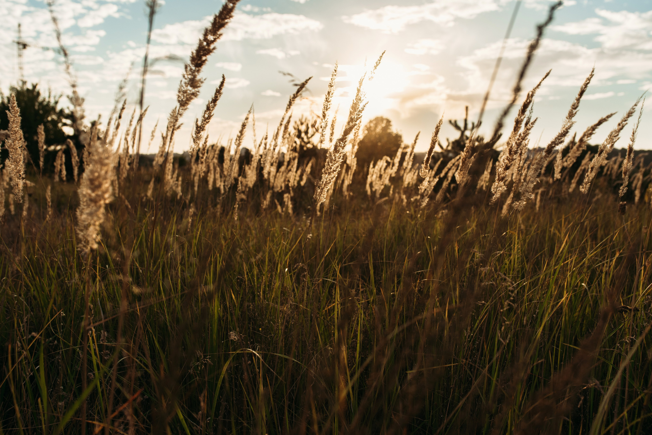 Marina & Artem & Timur. Familien- und Hochzeitsfotografin. Ich arbeite in Koblenz und Rheinlan