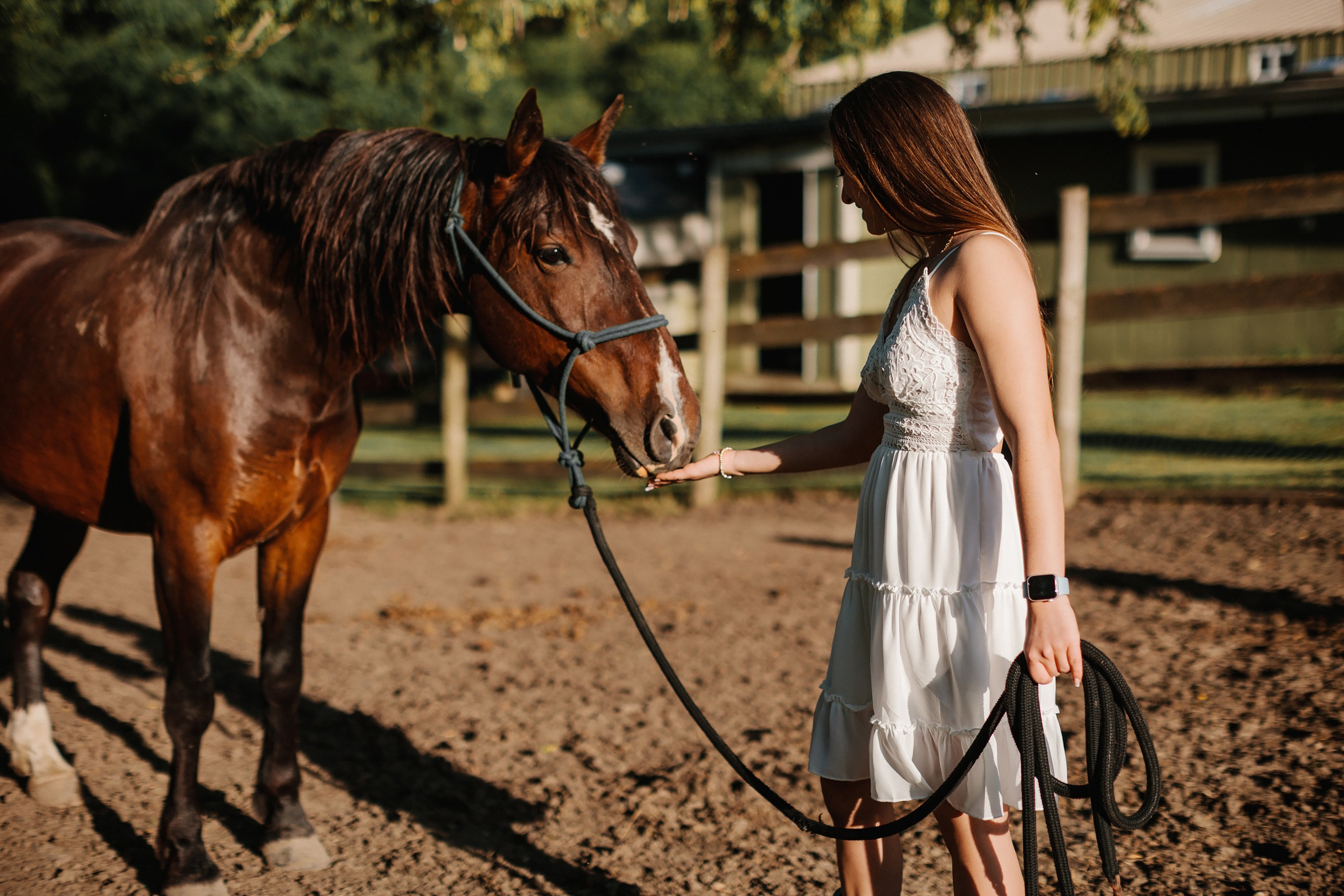30.05.24 Family Photoshoot. Wedding family event photographer in Chicago Nick Yushevich