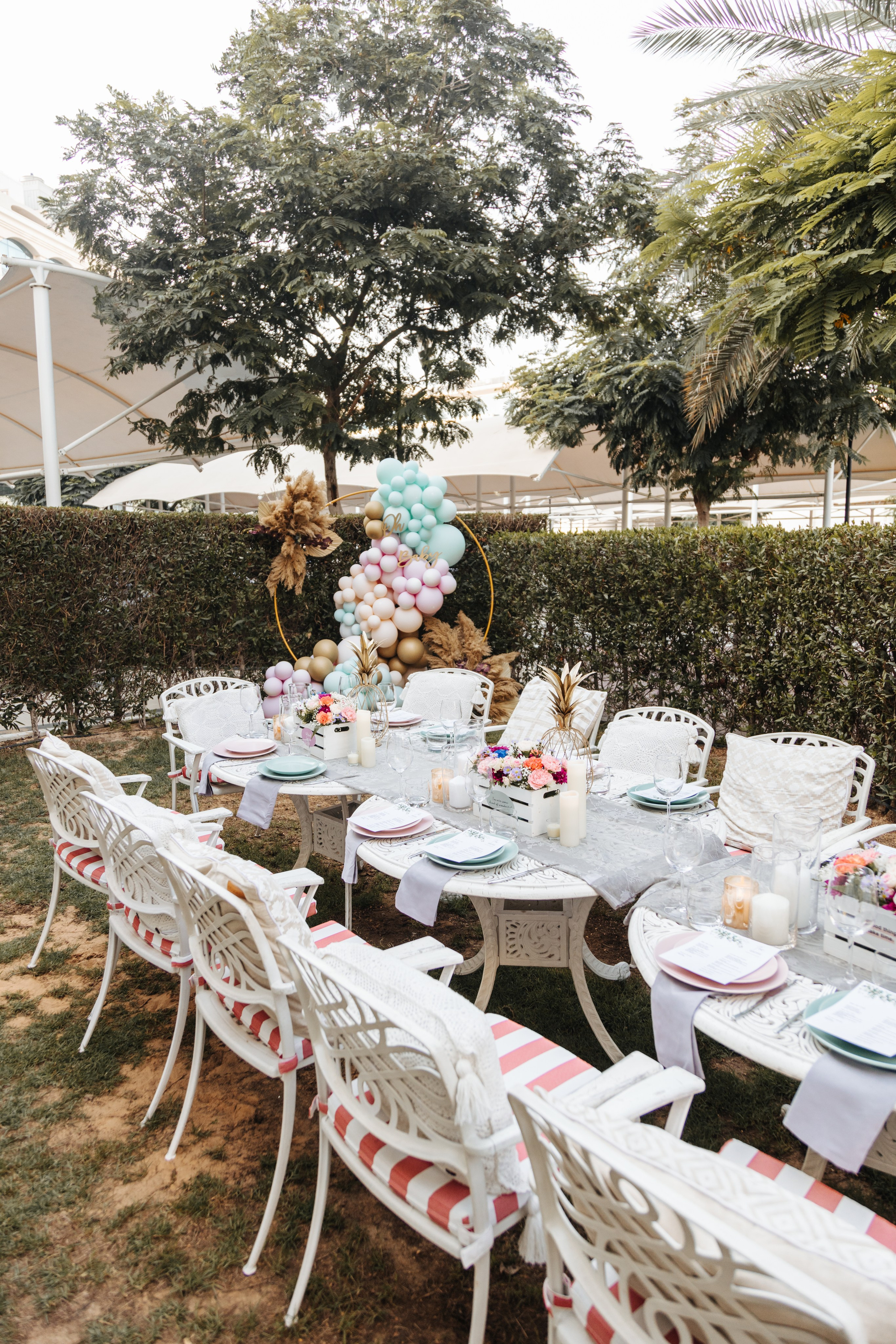 Amrita Gender Reveal