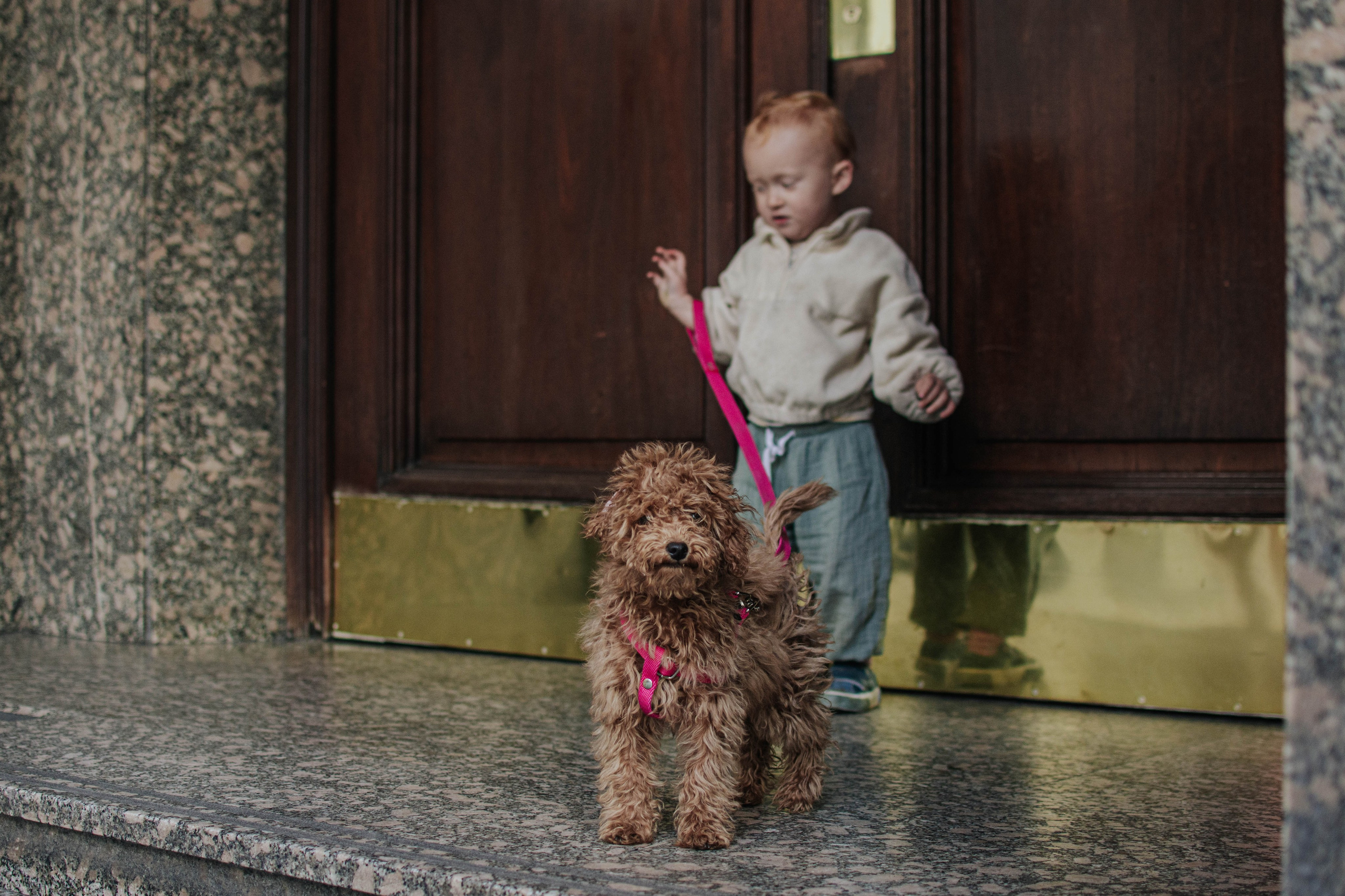 Walking around the home. Buenos Aires. Photography. Photographer @elmirkami in the city of Buenos Aires