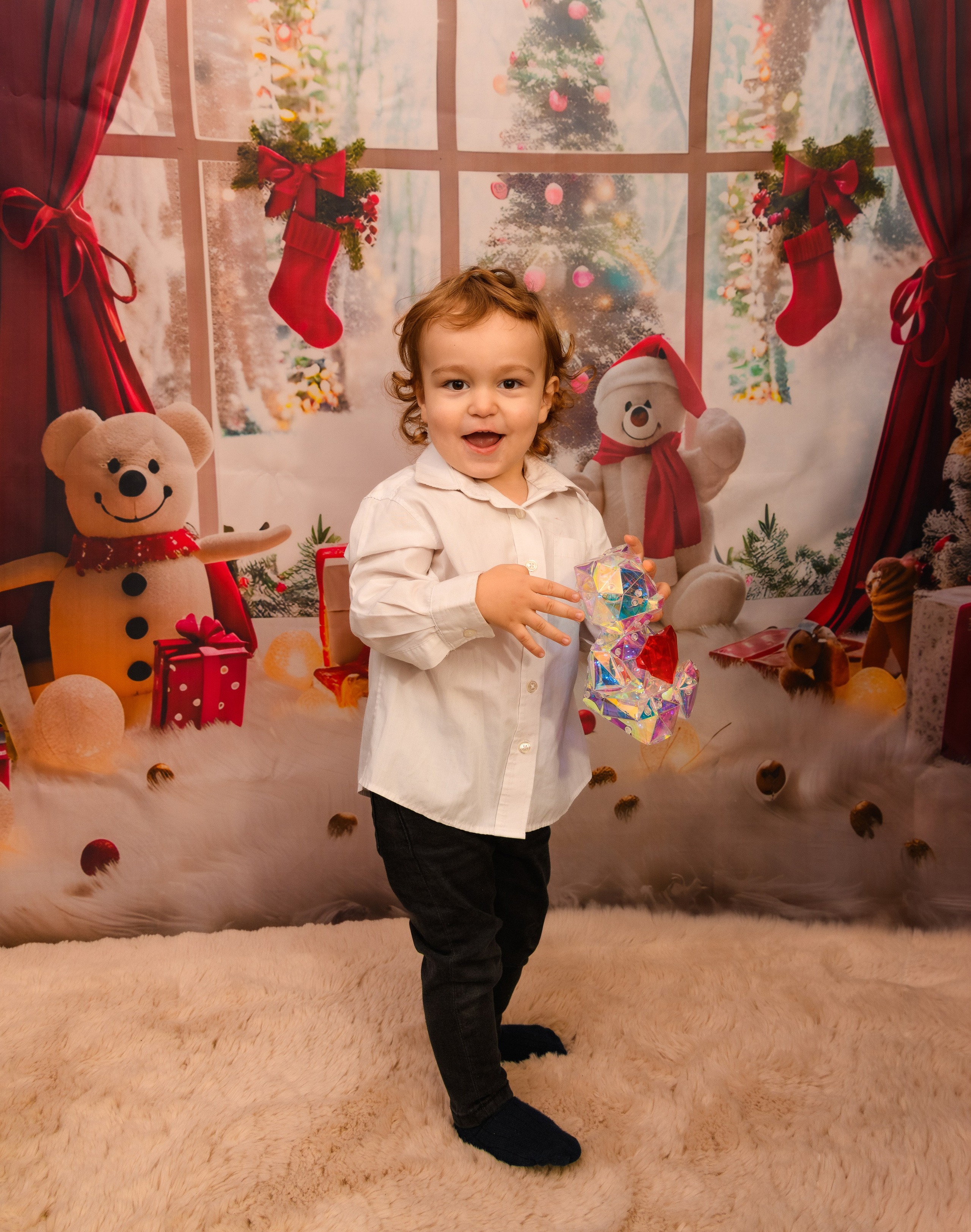 Christmas Photoshoot. Hand for photos