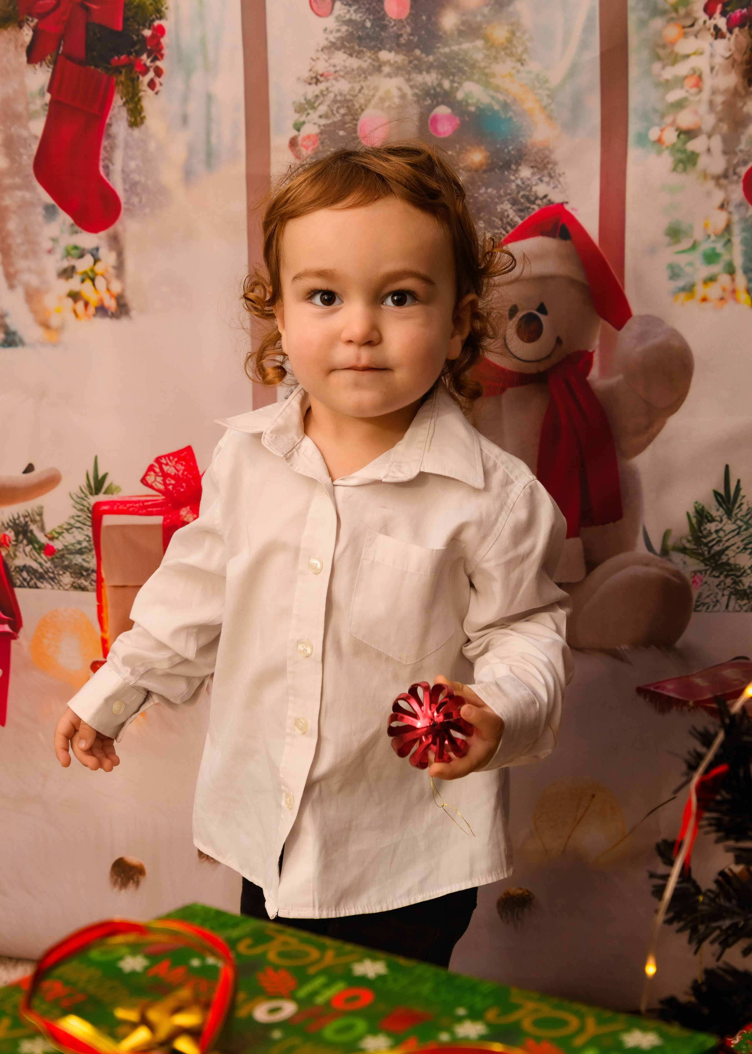 Christmas Photoshoot. Hand for photos