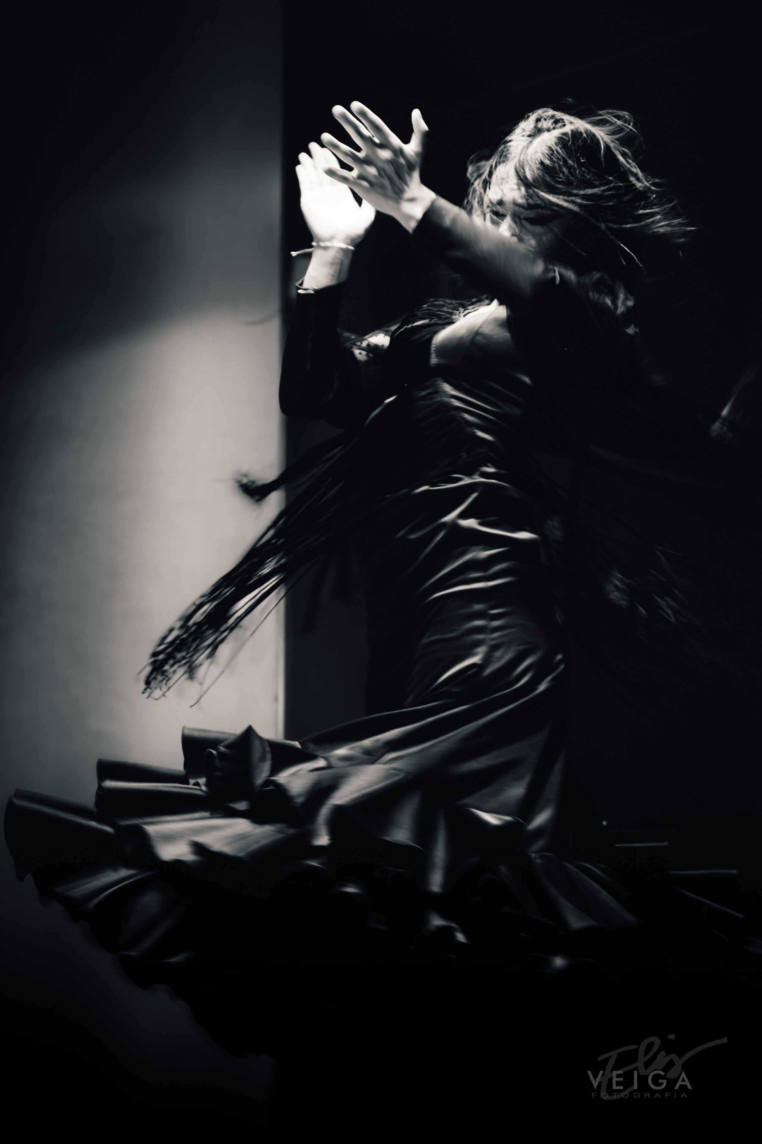 Espectáculo Baile. Elisveiga