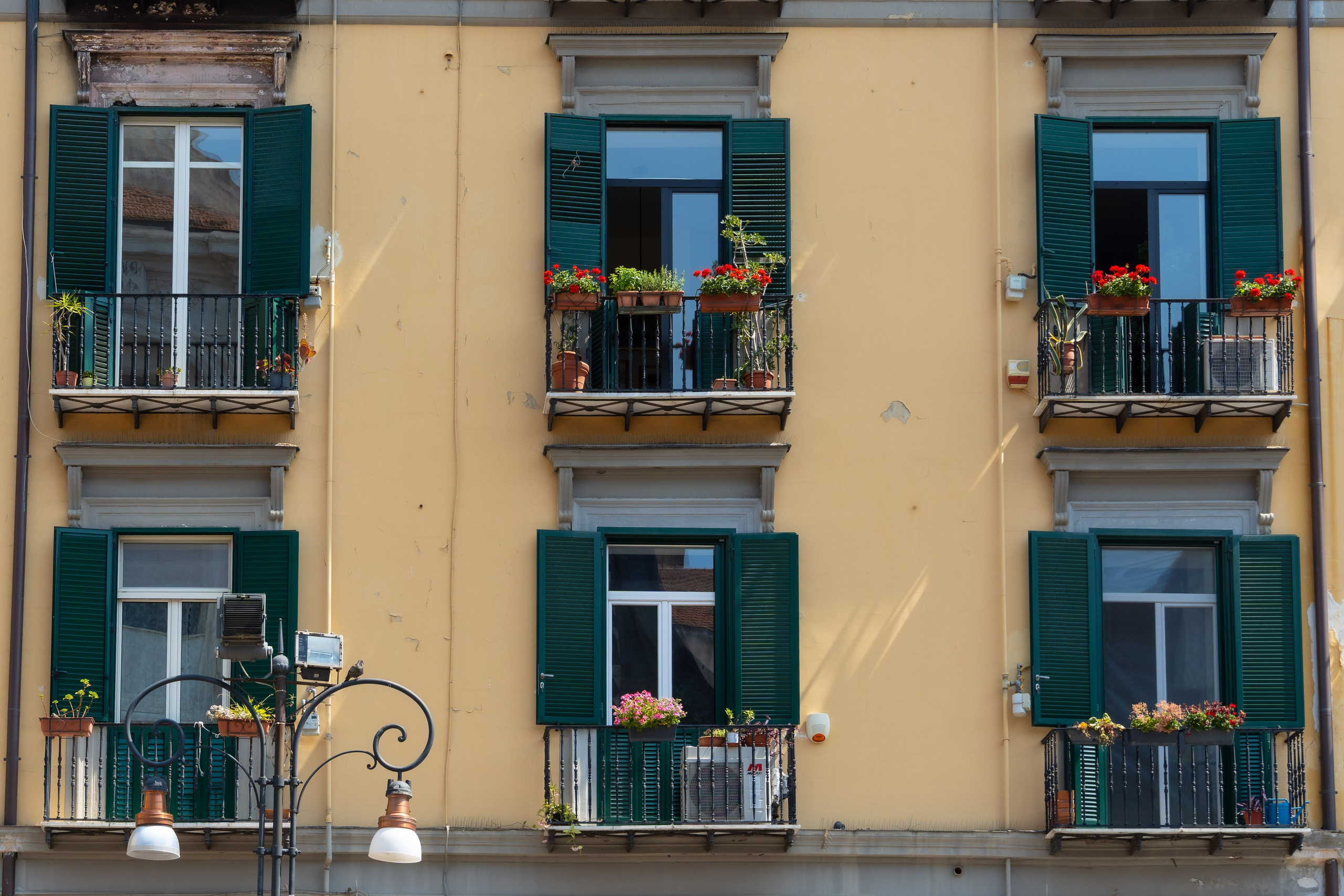 Napoli 2025. Fotografiideplacere.net