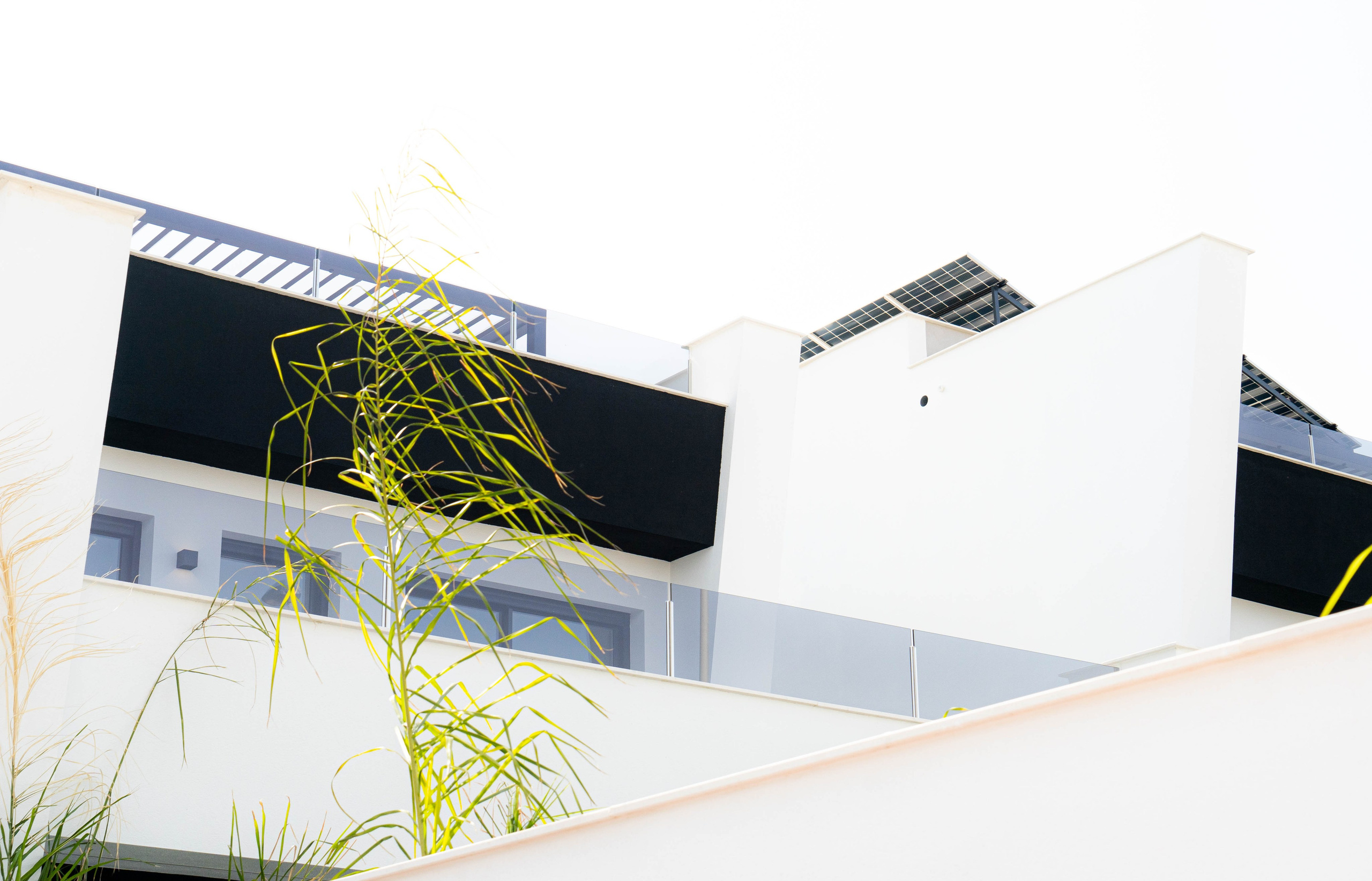 I&M GROUP villa La Paz. Baby Beast