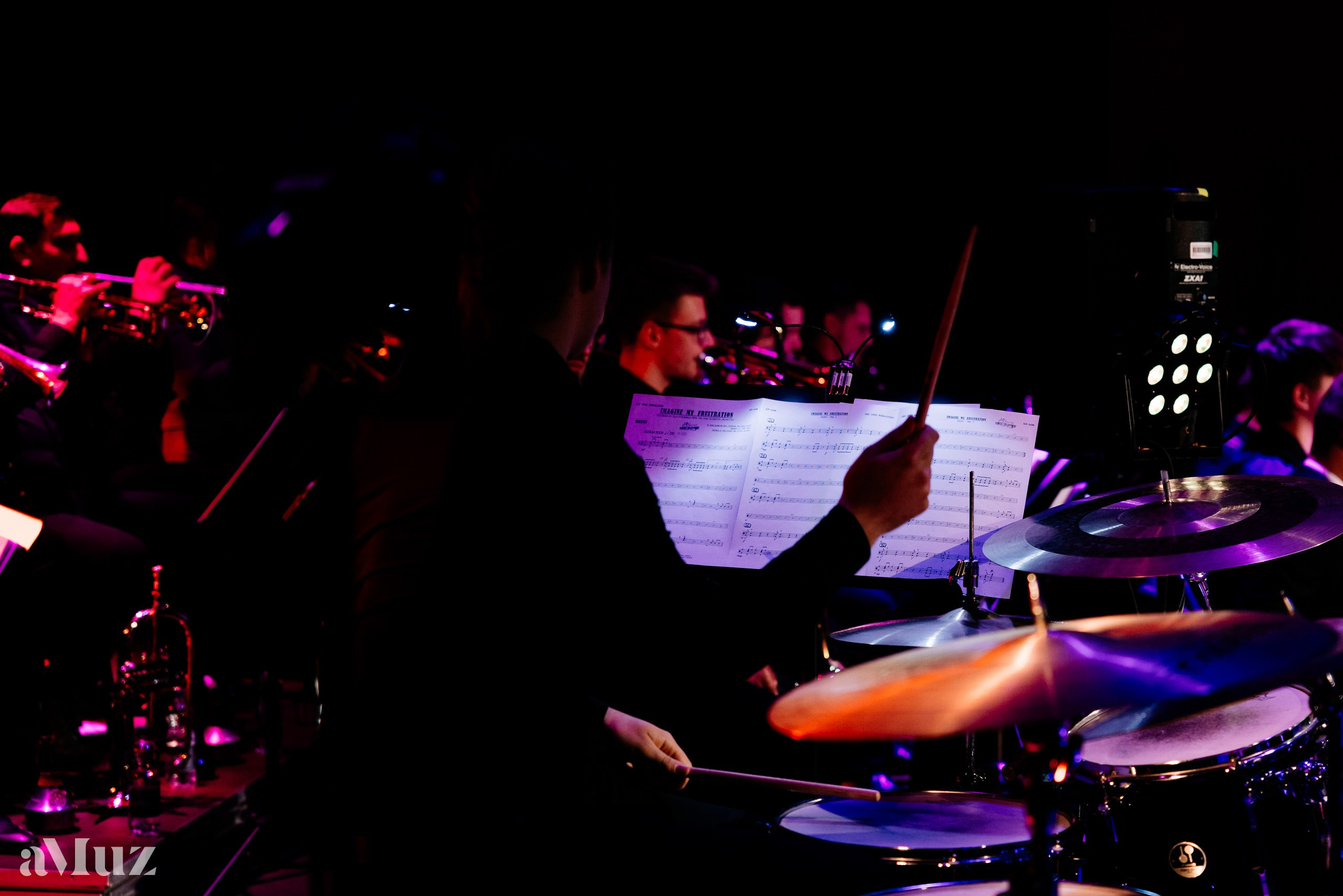 Koncert „Ladies of Jazz”. Fotograf Ślubny Warszawa - Sesje Biznesowe Rodzinne Eventy