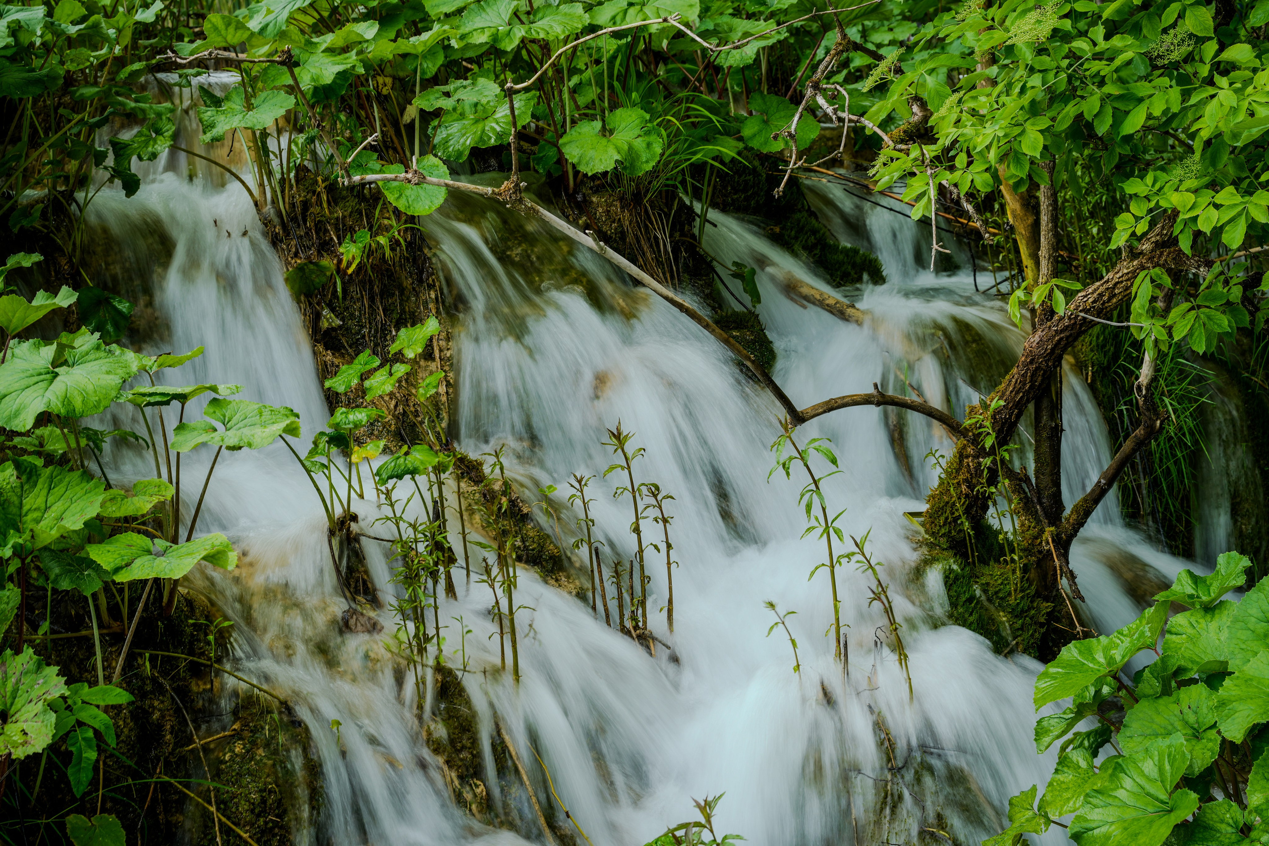 Bank Jerusalem — Team Retreat