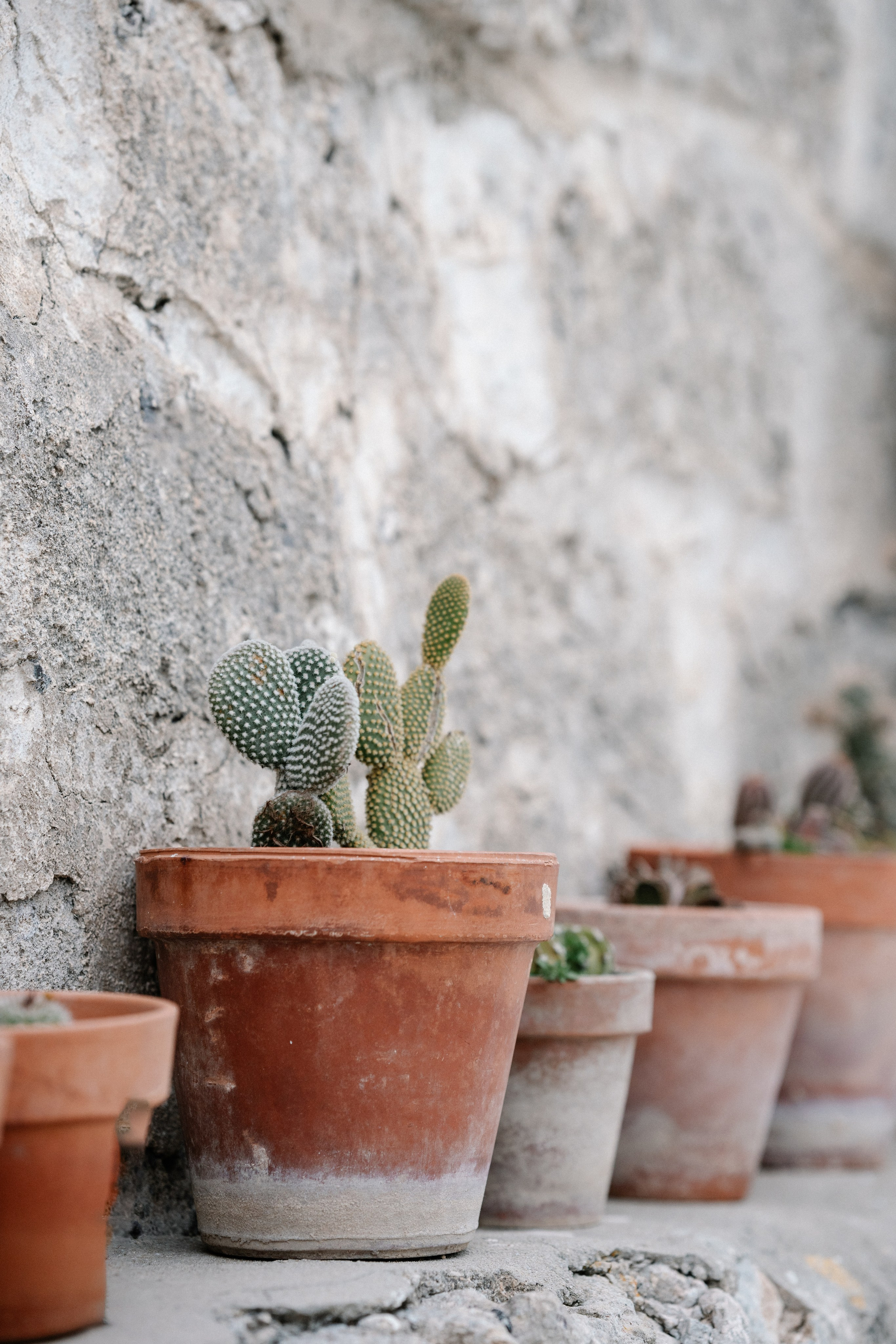 Alyssa&Sean. Wedding photographer Italy