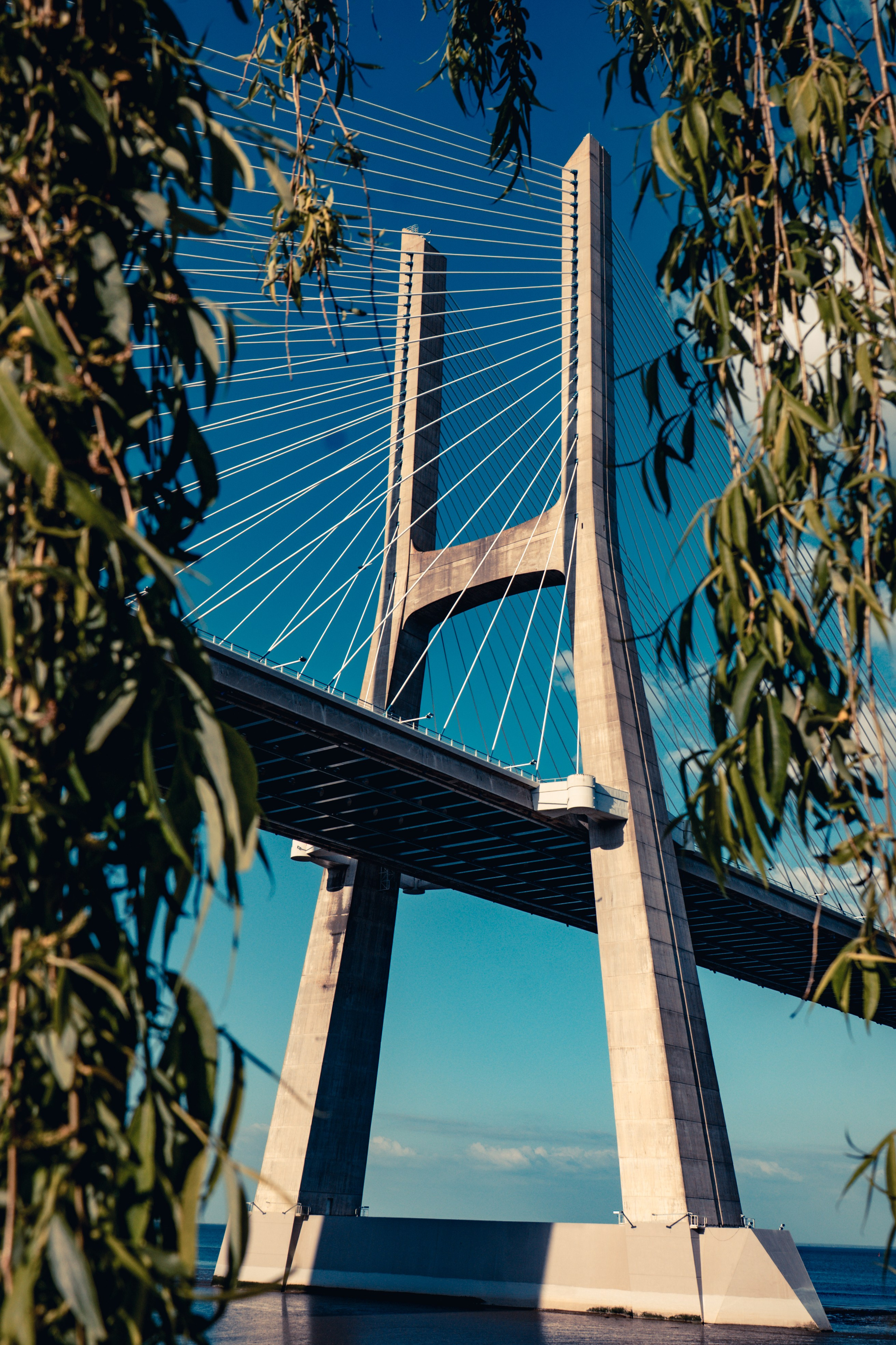 Store. REC21Films audiovisuals productions