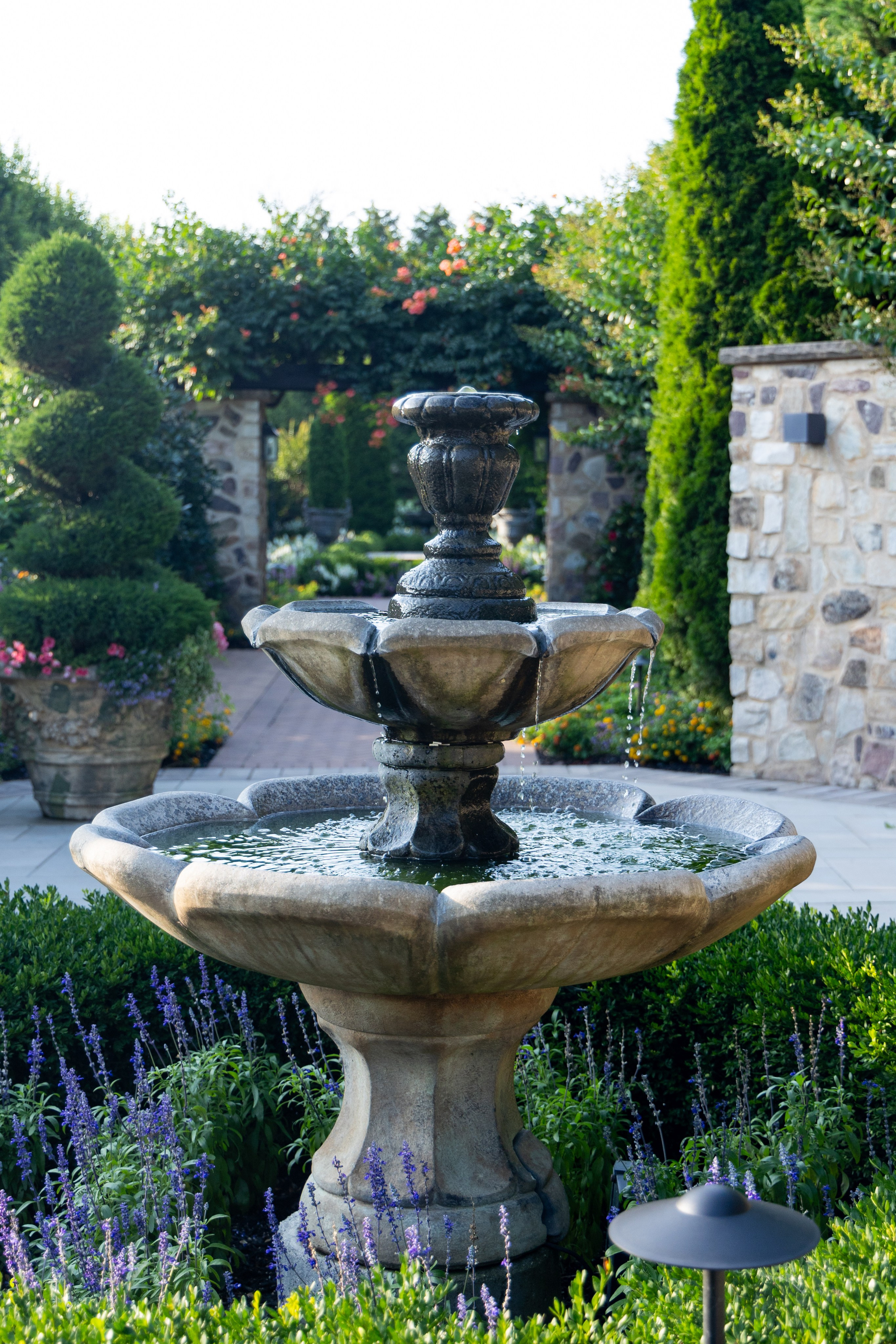 Alexa & Darren. Wedding Photo & Video