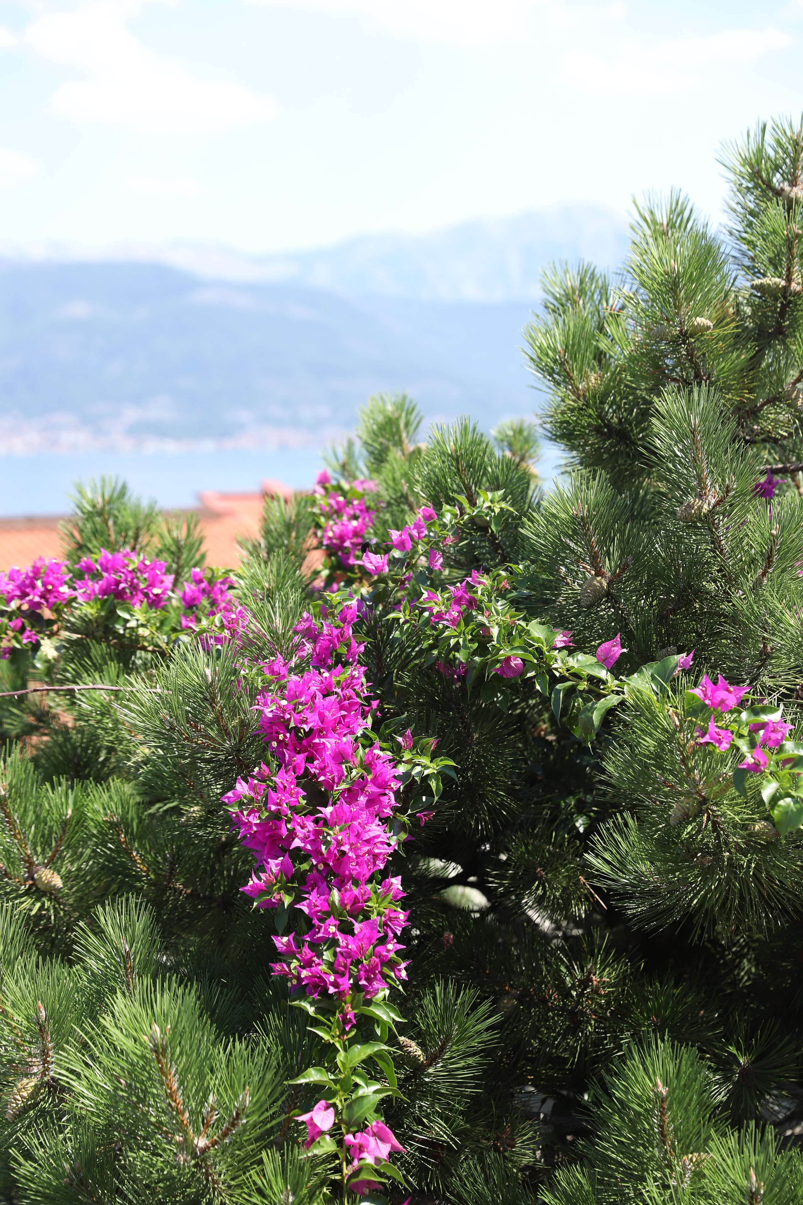 Наш поселок Крашичи. Apartmen 365