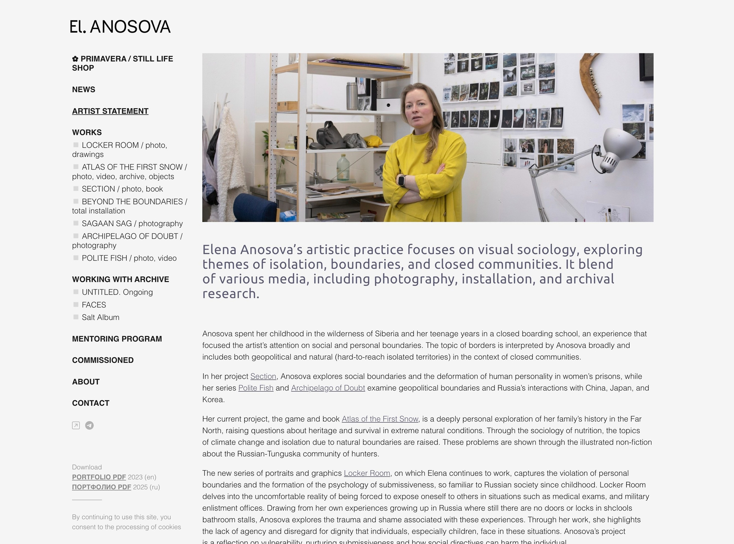 https://anosova.com/en/artiststatement