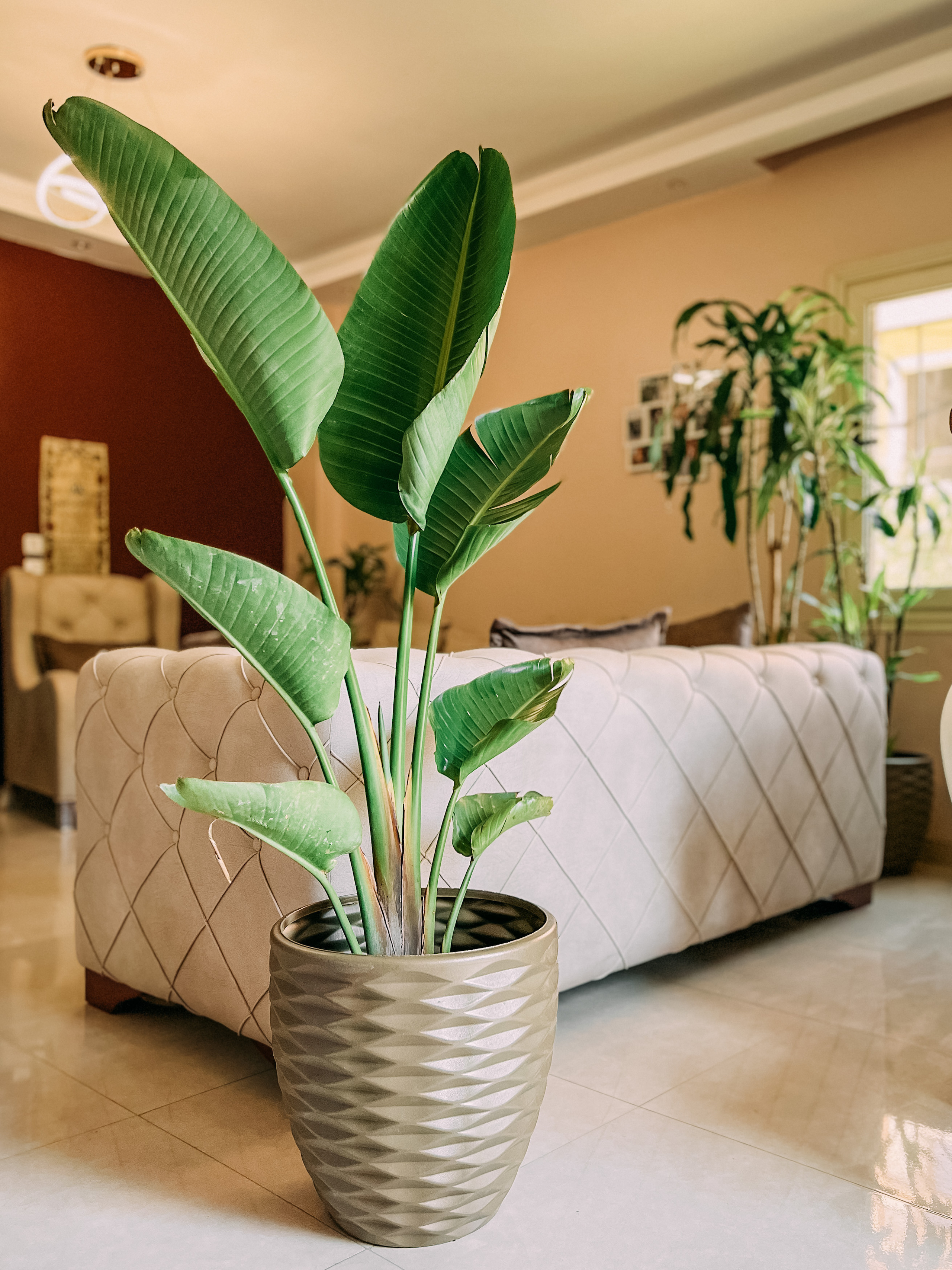 Фотосессия для бизнеса. Фотограф в Каире Египет Анастасия Ильина