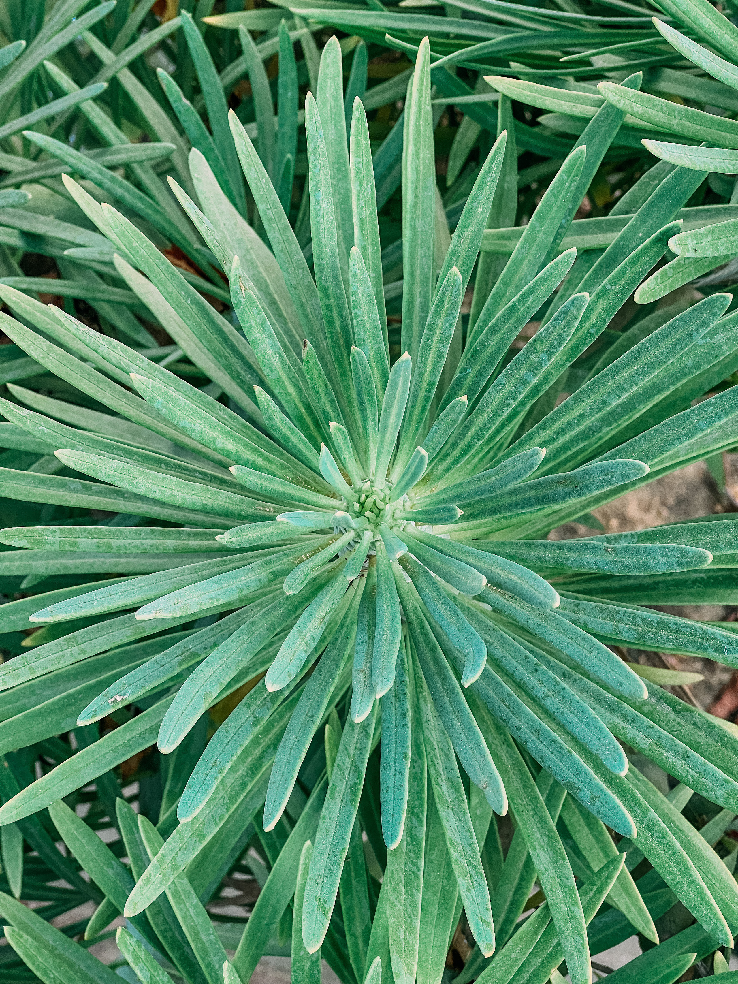 Фотосессия для бизнеса. Фотограф в Каире Египет Анастасия Ильина