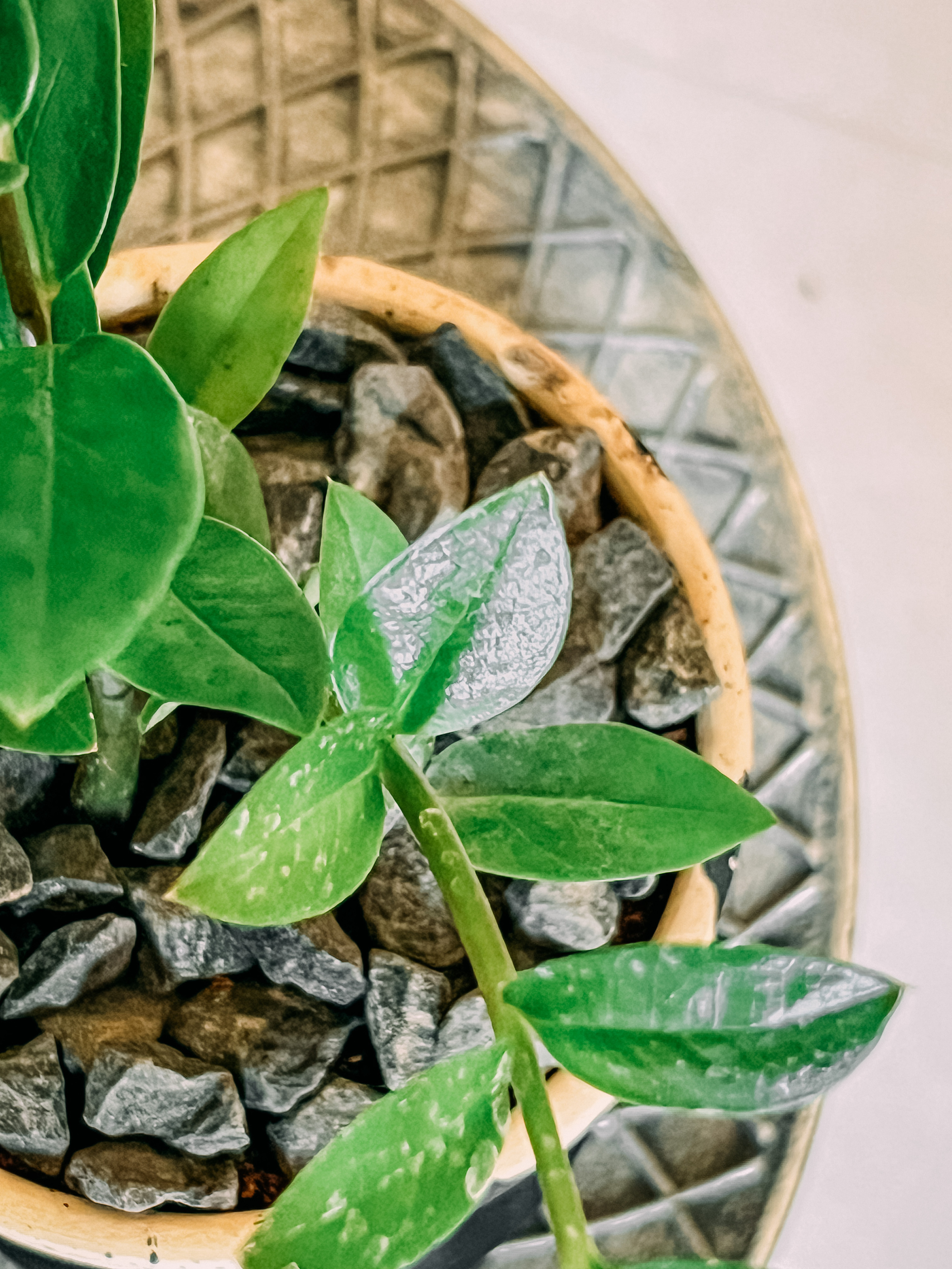 Фотосессия для бизнеса. Фотограф в Каире Египет Анастасия Ильина