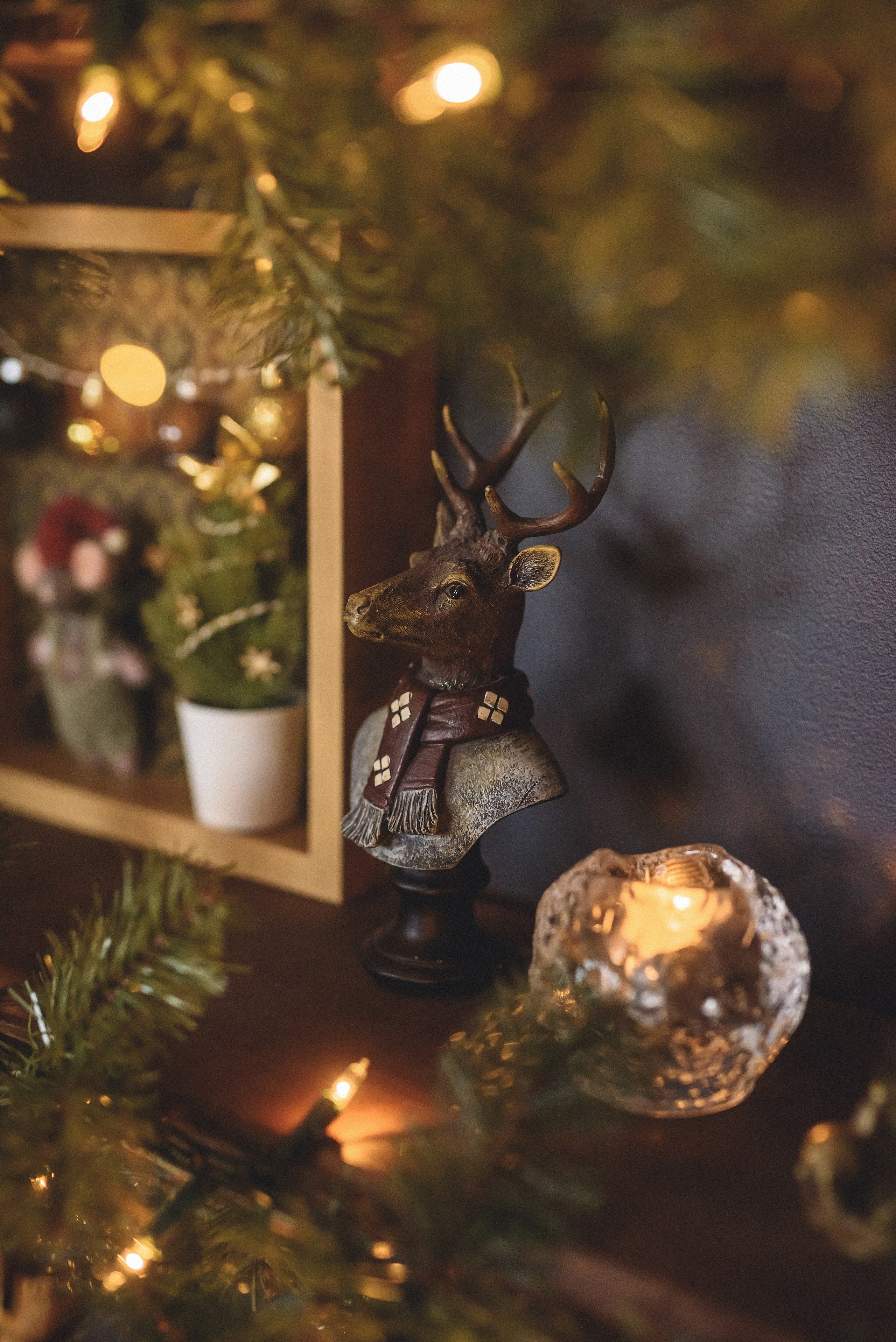 Studija. Fotogrāfs Rīgā. Gīmenes, individuālās un dažādu produktu fotosesijas