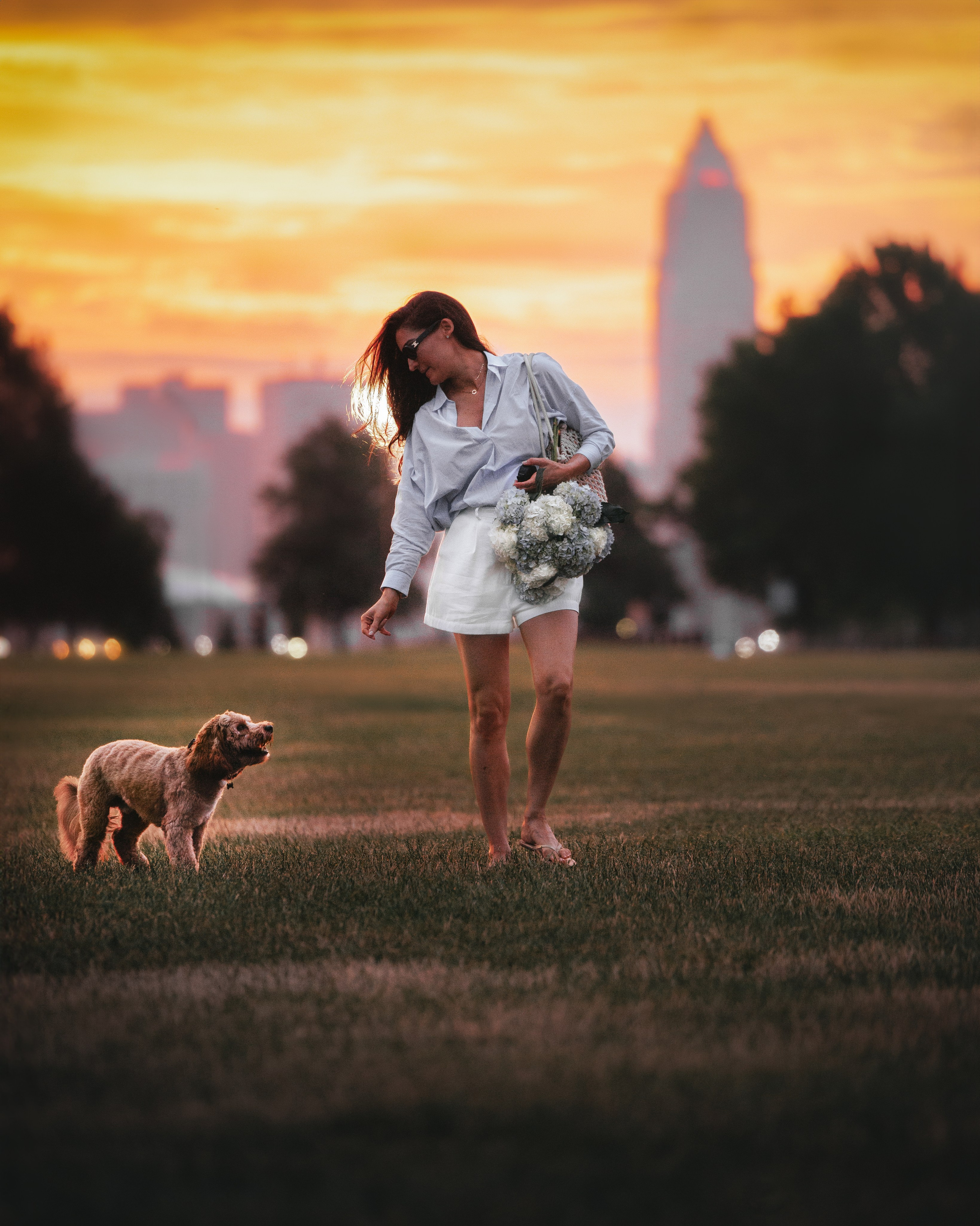 Howie & Callie. Pet Photographer Viktoriya Aleshenko