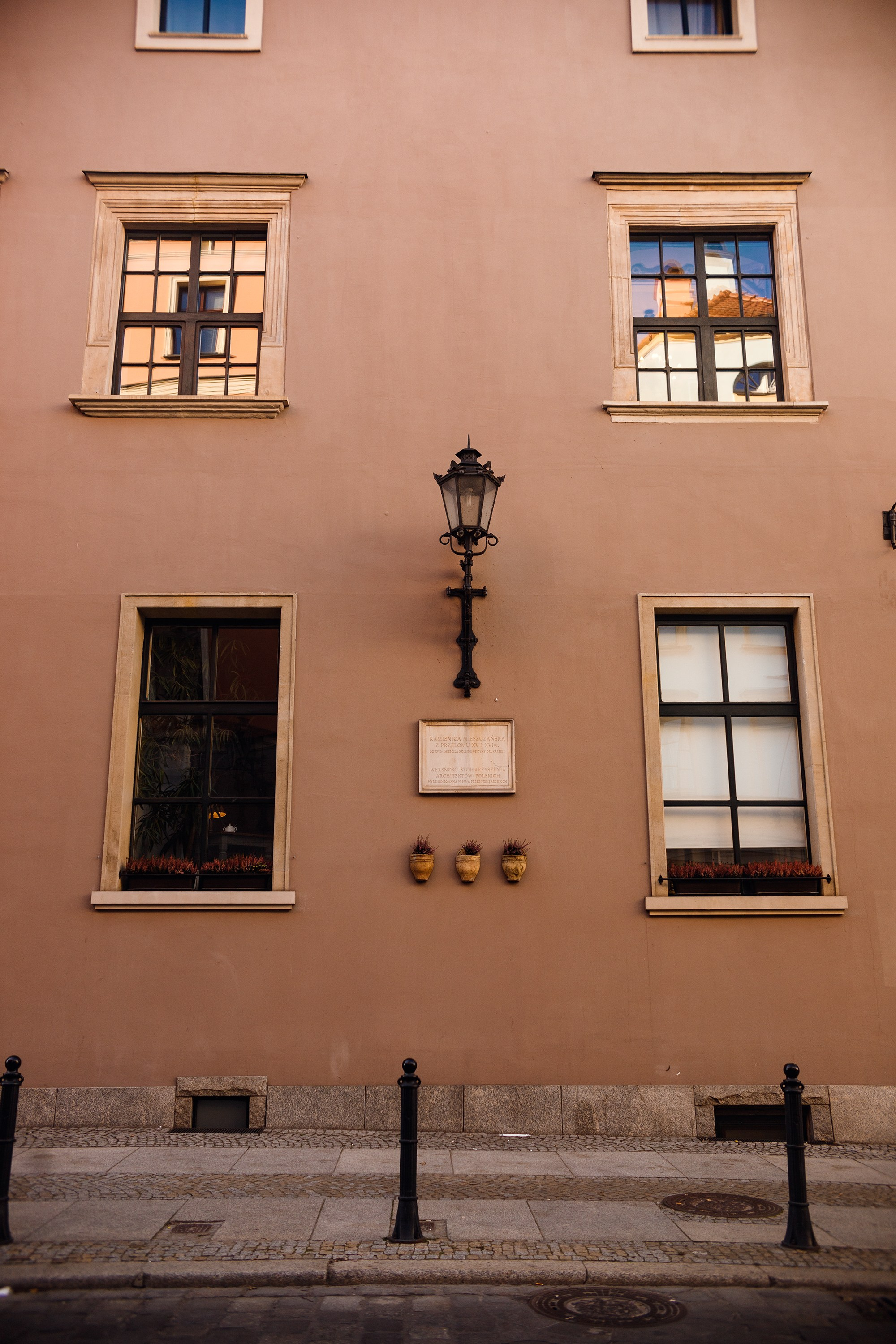 Wroclaw | the best ones. Kaja | fotograf psów we Wrocławiu