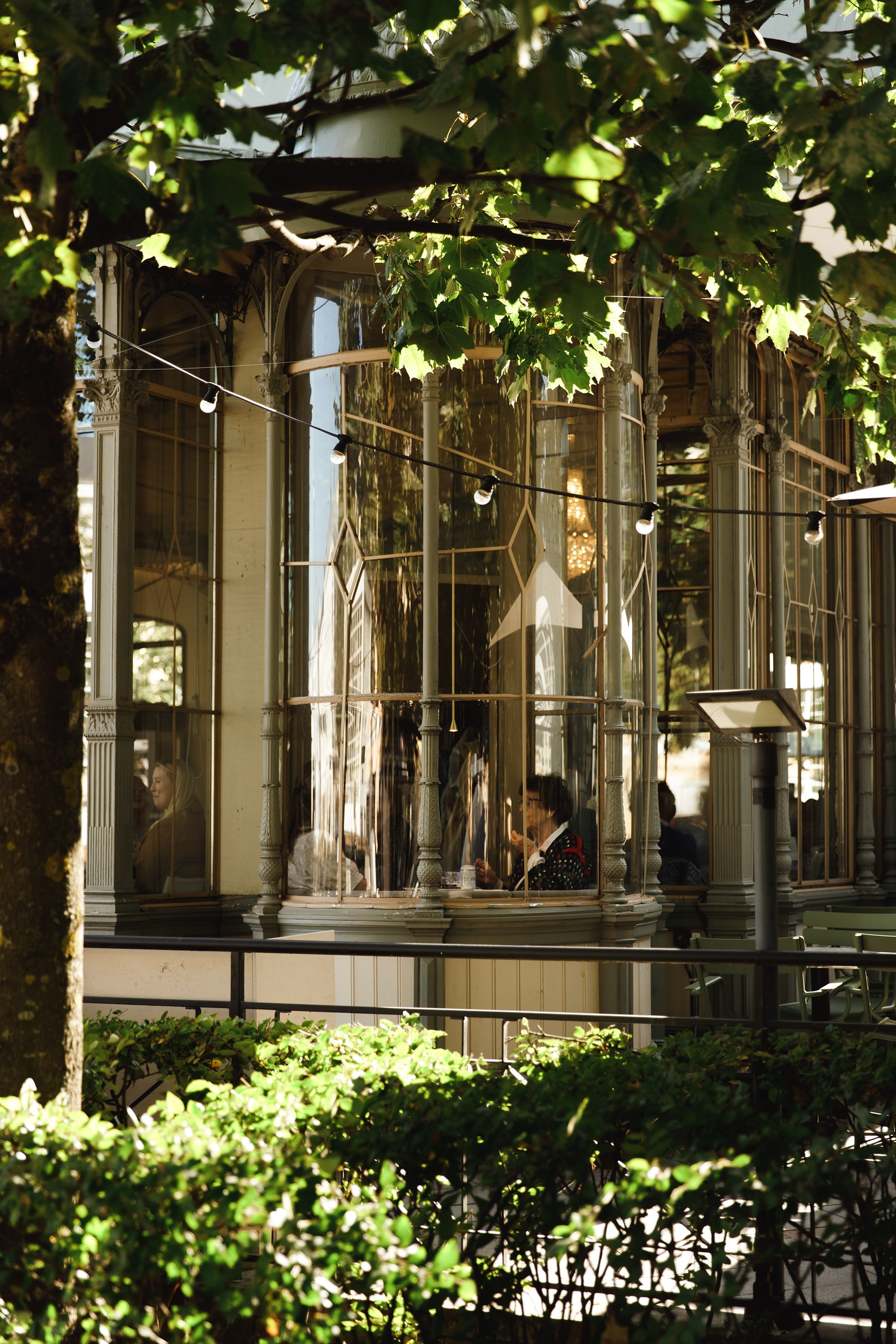 Helsinki. Kaja | fotograf psów we Wrocławiu