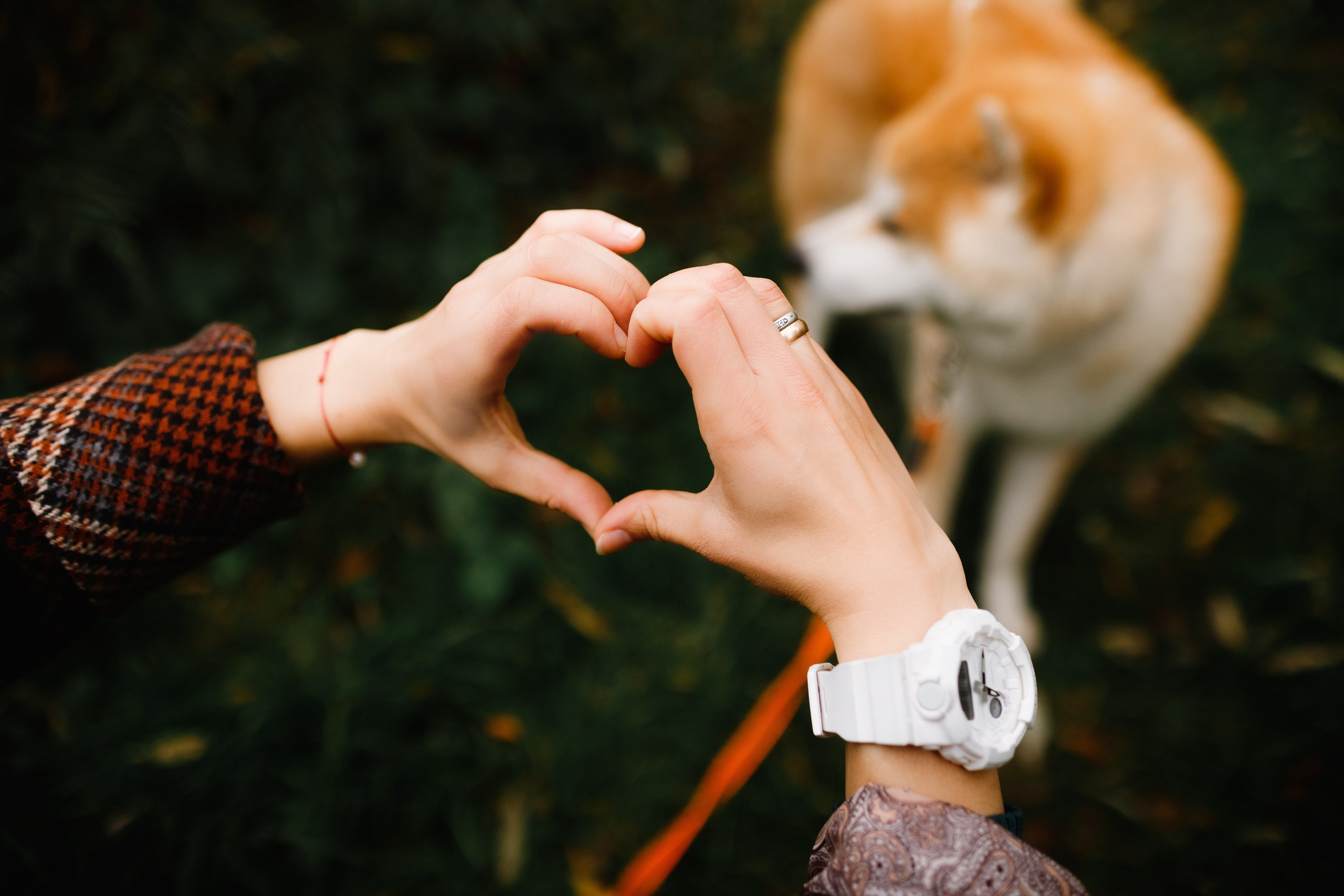 Maria & Kenji. Kaja | fotograf we Wrocławiu | ludzie i psy