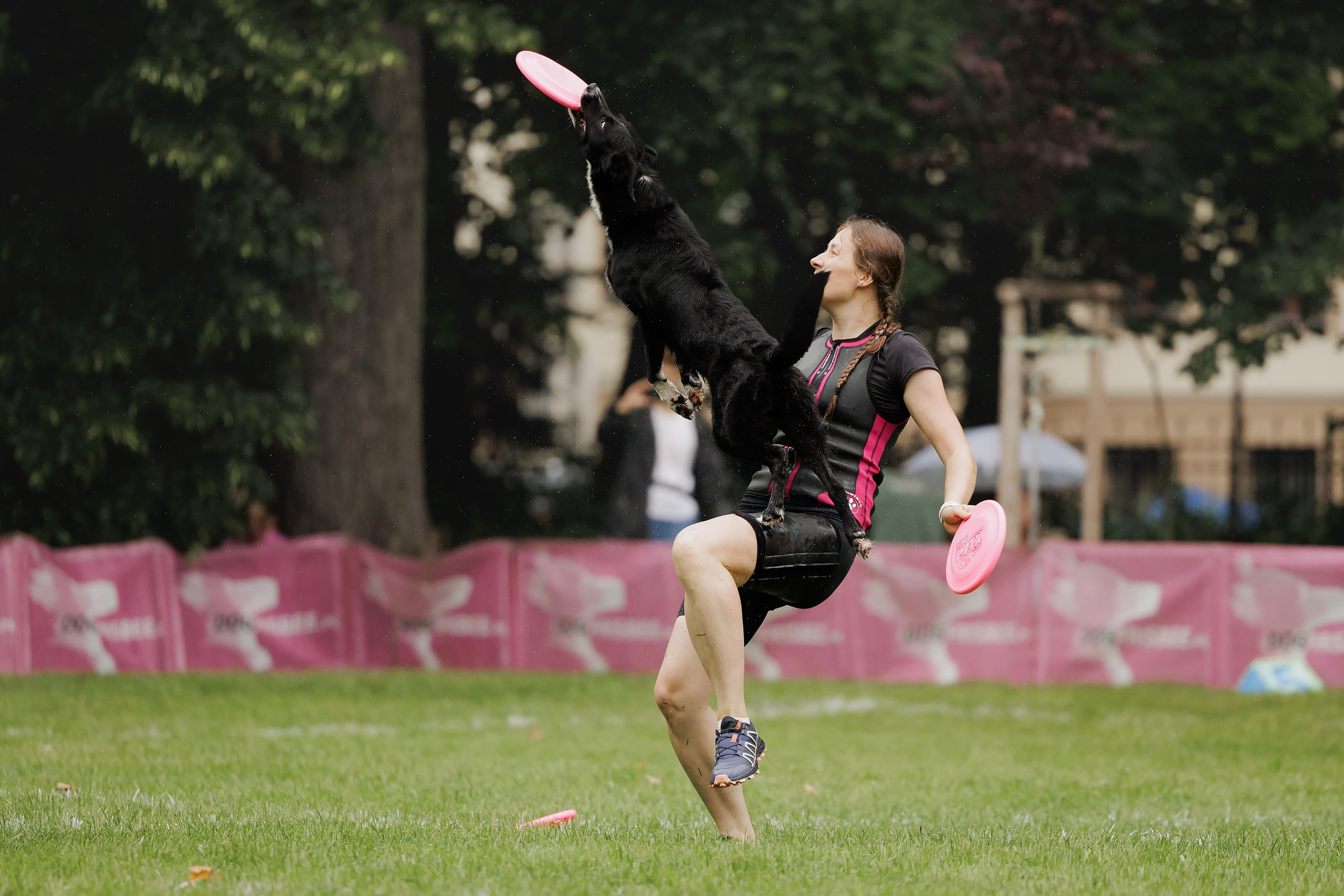 Latające psy, Wrocław'25. Kaja | fotograf psów we Wrocławiu