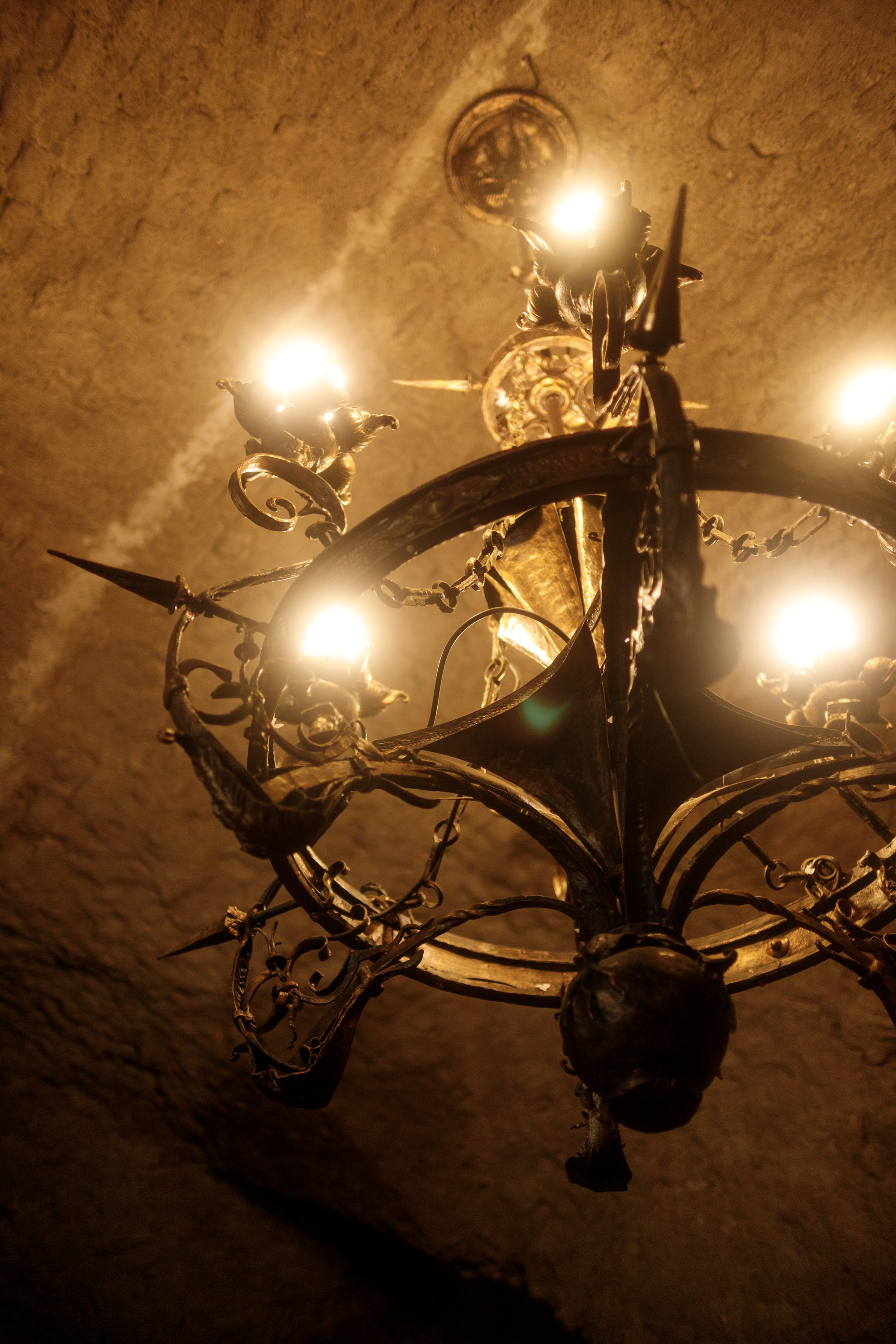 Zamek Grodziec. Kaja | fotograf psów we Wrocławiu