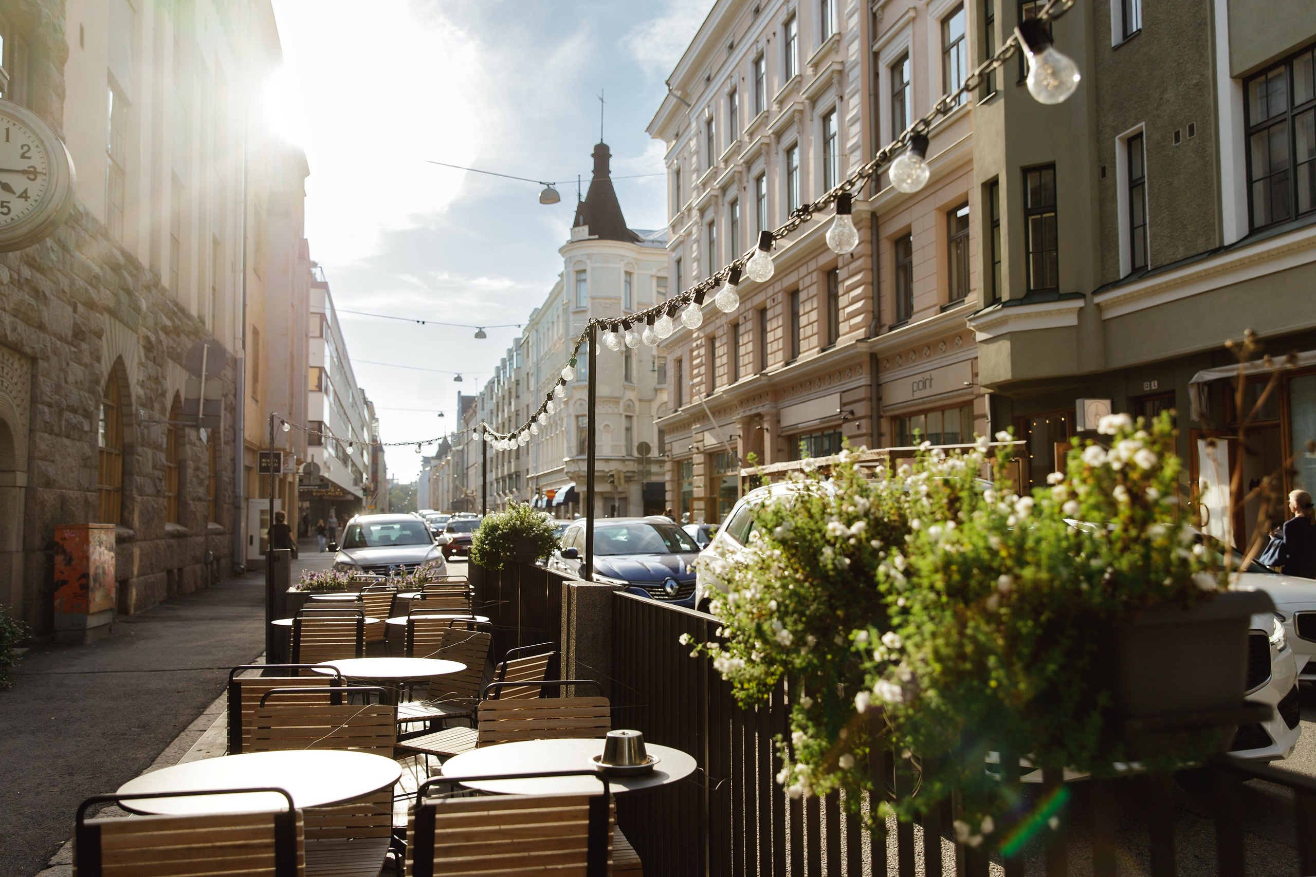 Helsinki. Kaja | fotograf psów we Wrocławiu