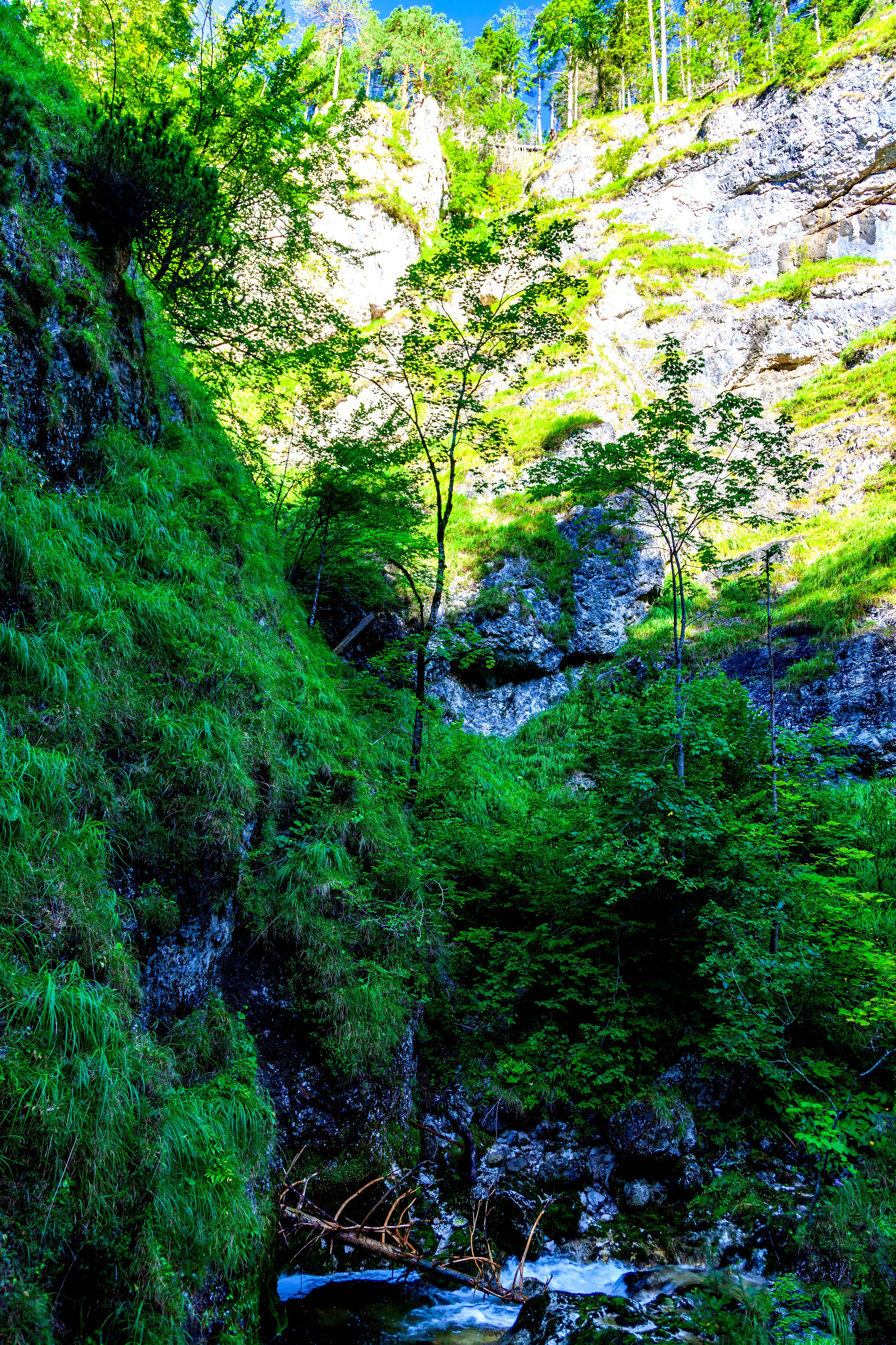 193.Wasserloch Klamm.Palfau.18.8.2025. Путешествия в формате 360......