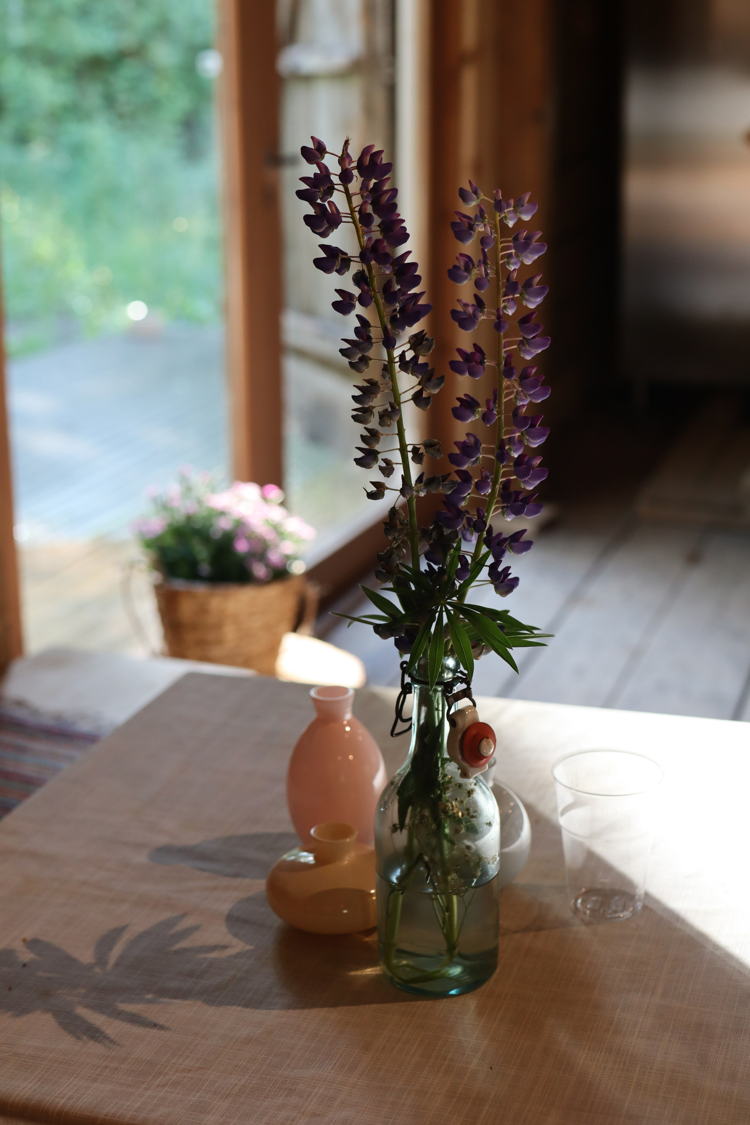 Commercial. Daria Vereshchagina, photographer in Helsinki capital region