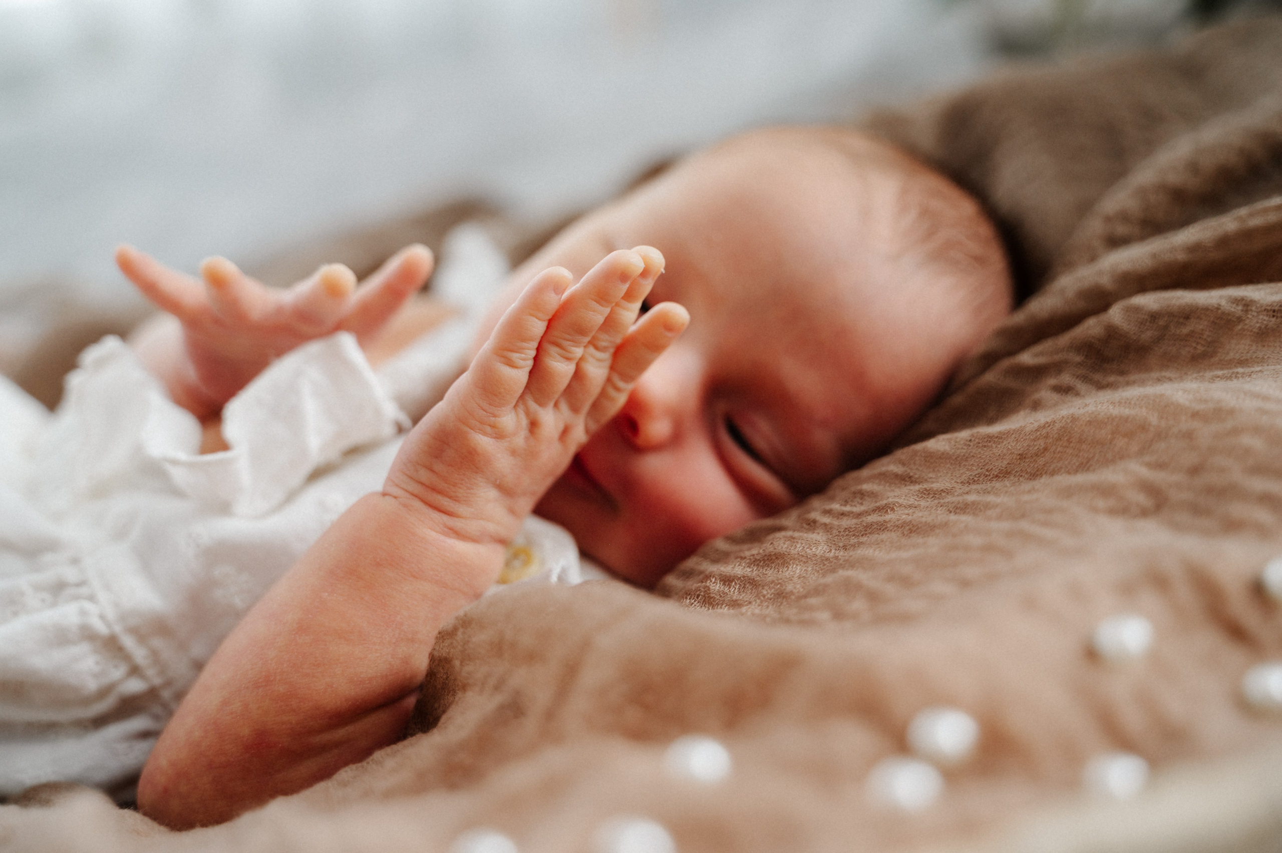 Newborn. Anastasia Kurbanov Photography