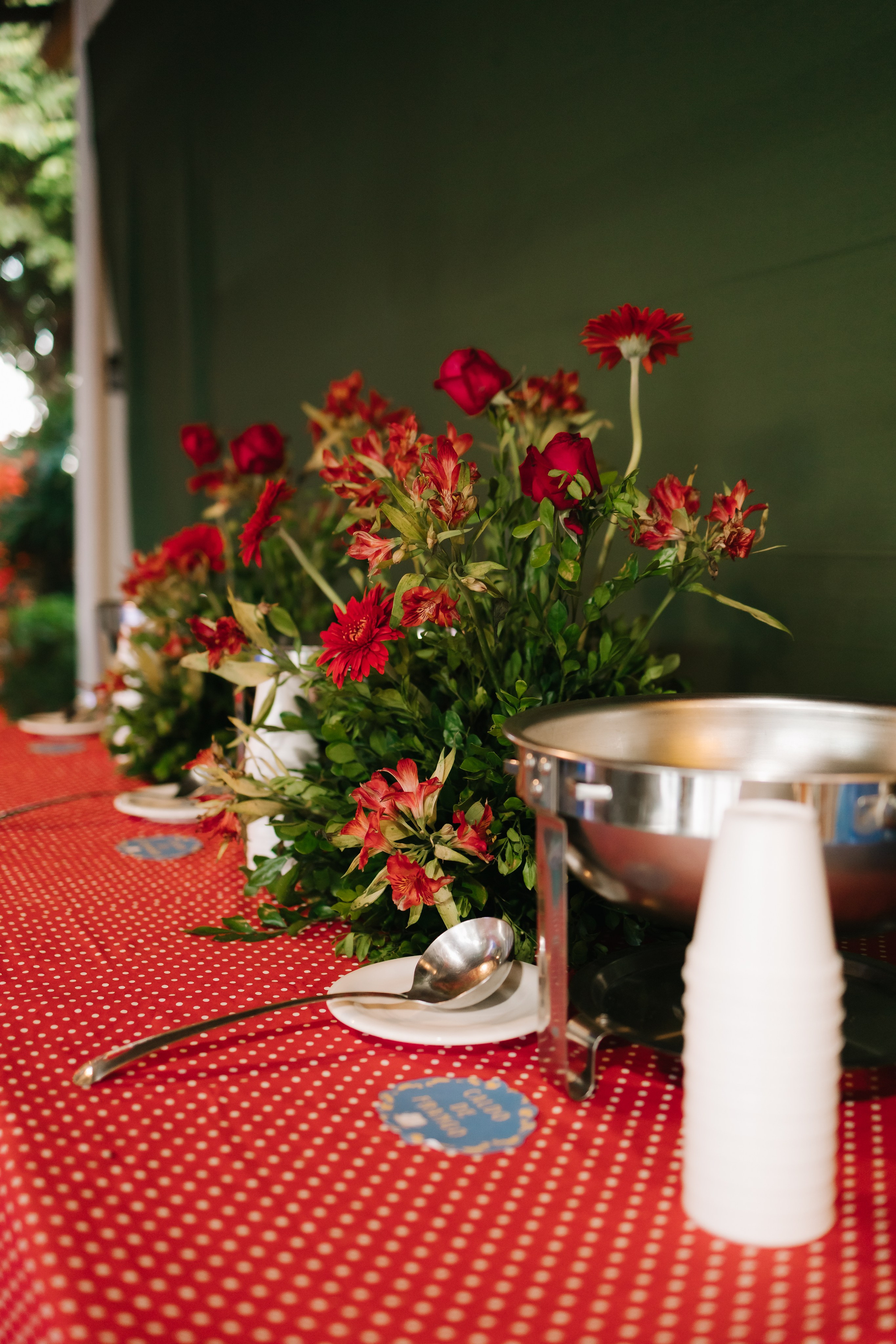Helena — 1 ano. Fotógrafo Richard Silvestre — Casamentos na Bahia