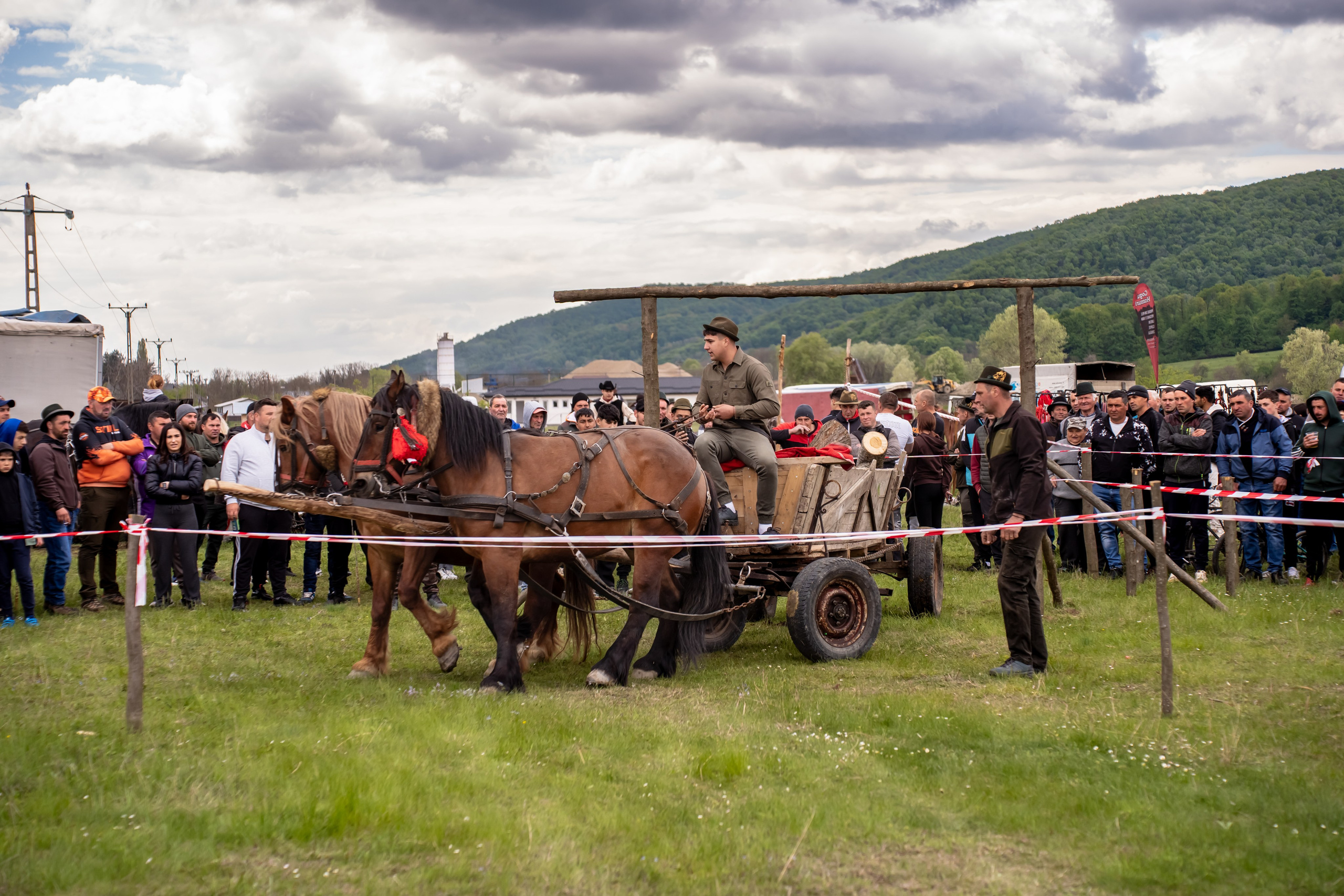 Concurs Ecvestru Vărbilău ediția a 4-a. Mihai Alexandra Events