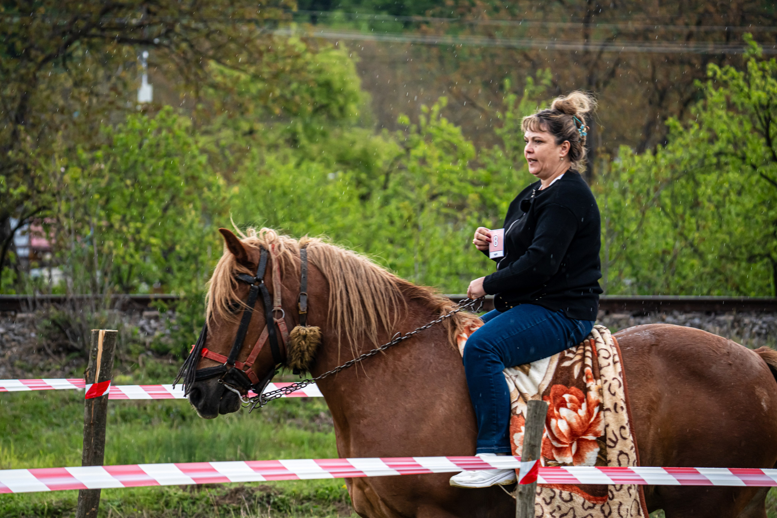 Concurs Ecvestru Vărbilău ediția a 4-a. Mihai Alexandra Events