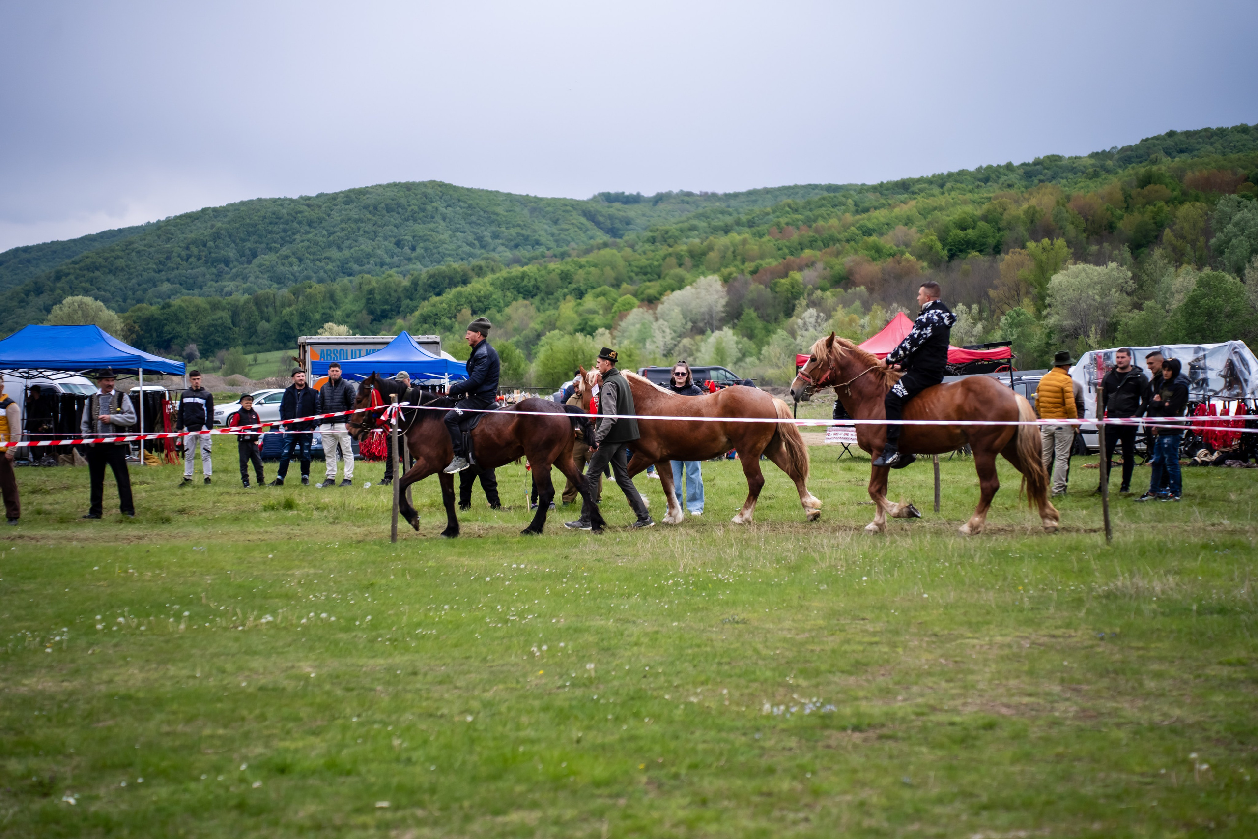 Concurs Ecvestru Vărbilău ediția a 4-a. Mihai Alexandra Events