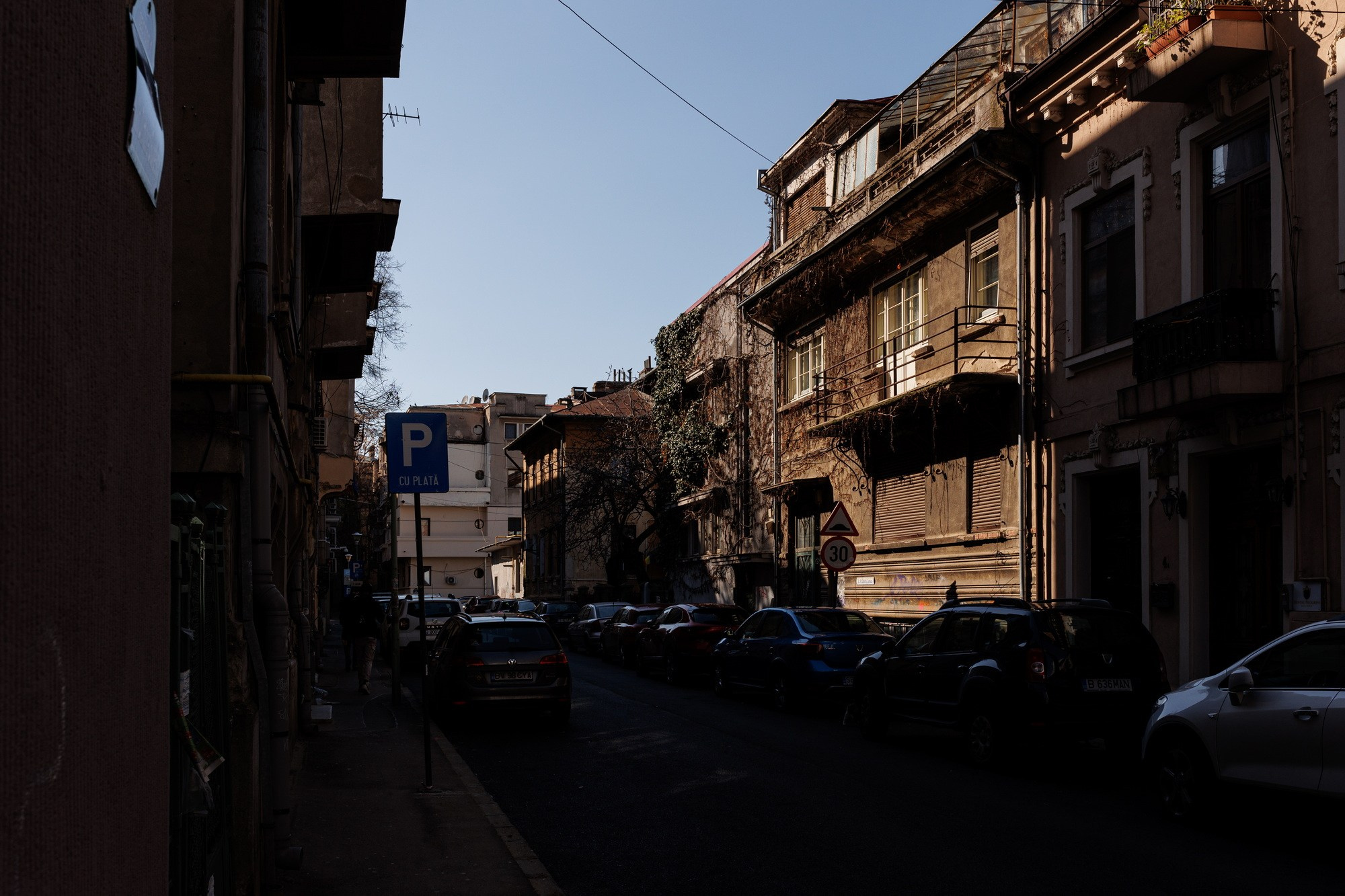 The Grid. A Creative Insight | Catalin Nastase