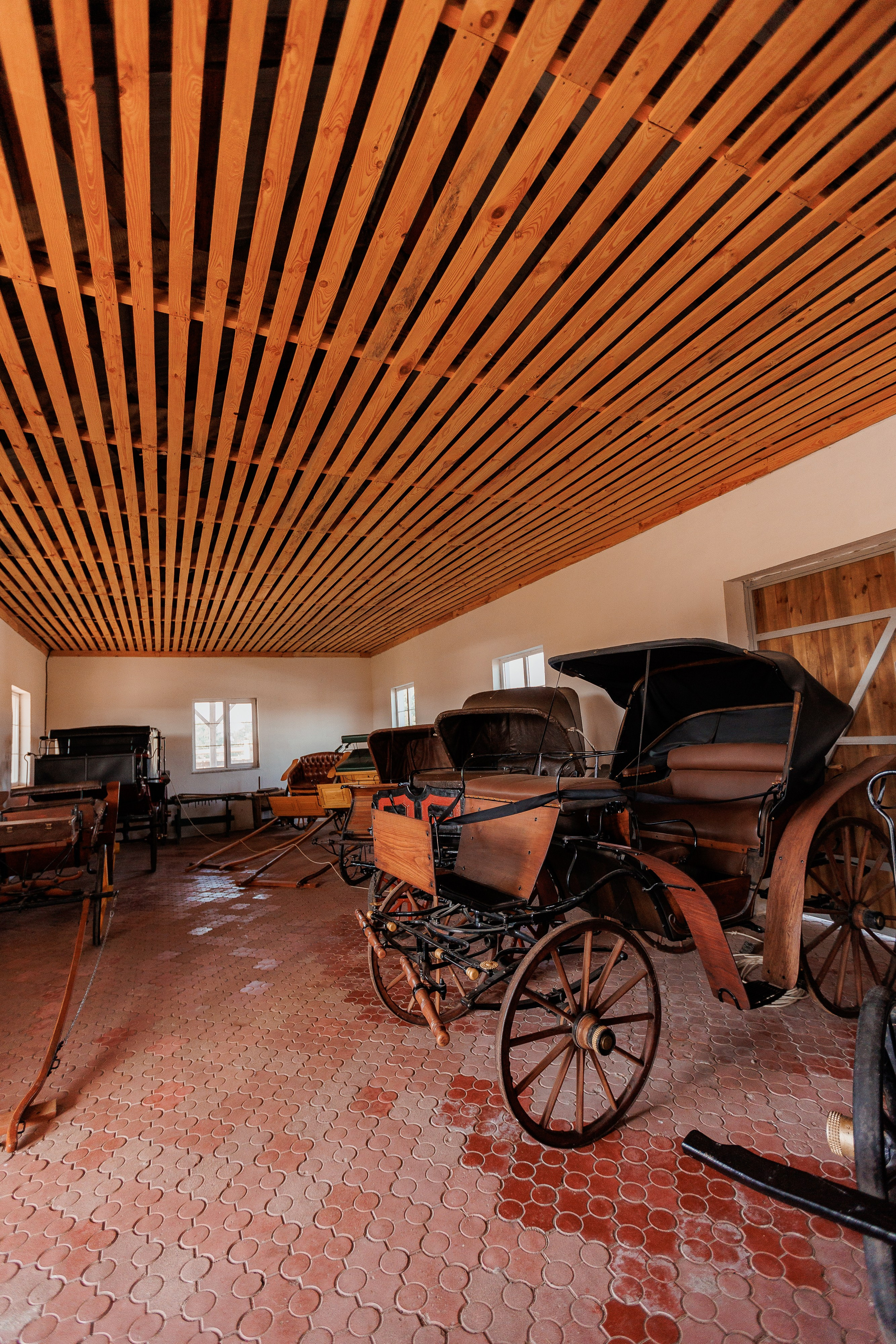 Екопарк Аміла. Ірина Терещук