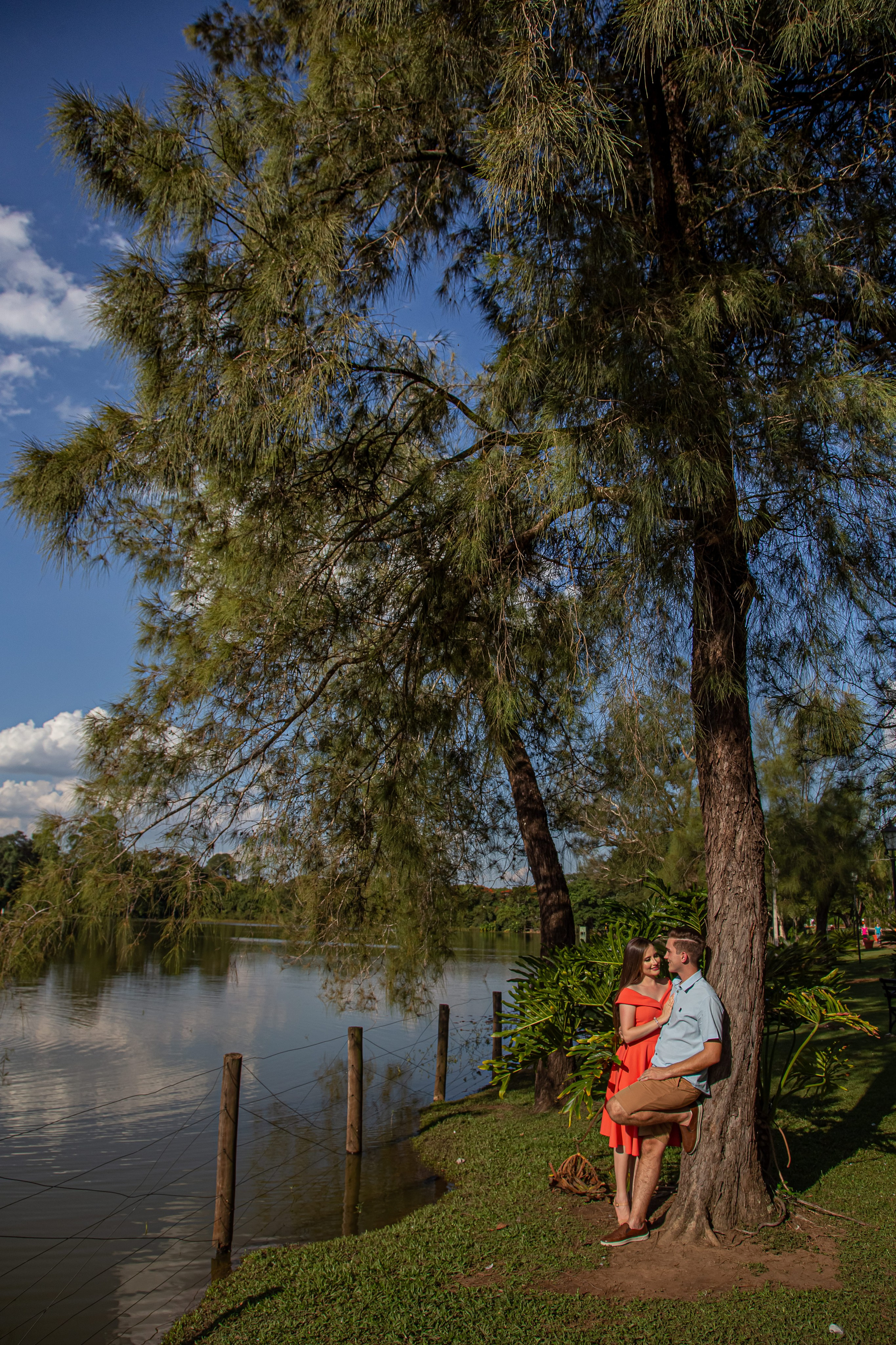 Ensaio Holambra. Tela cheia