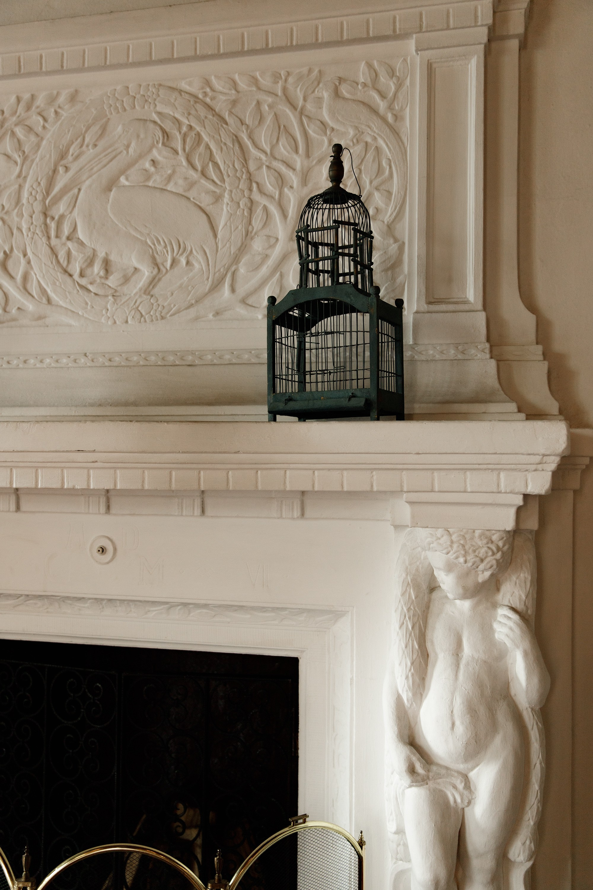 Oleśnica castle. Kaja | fotograf psów we Wrocławiu